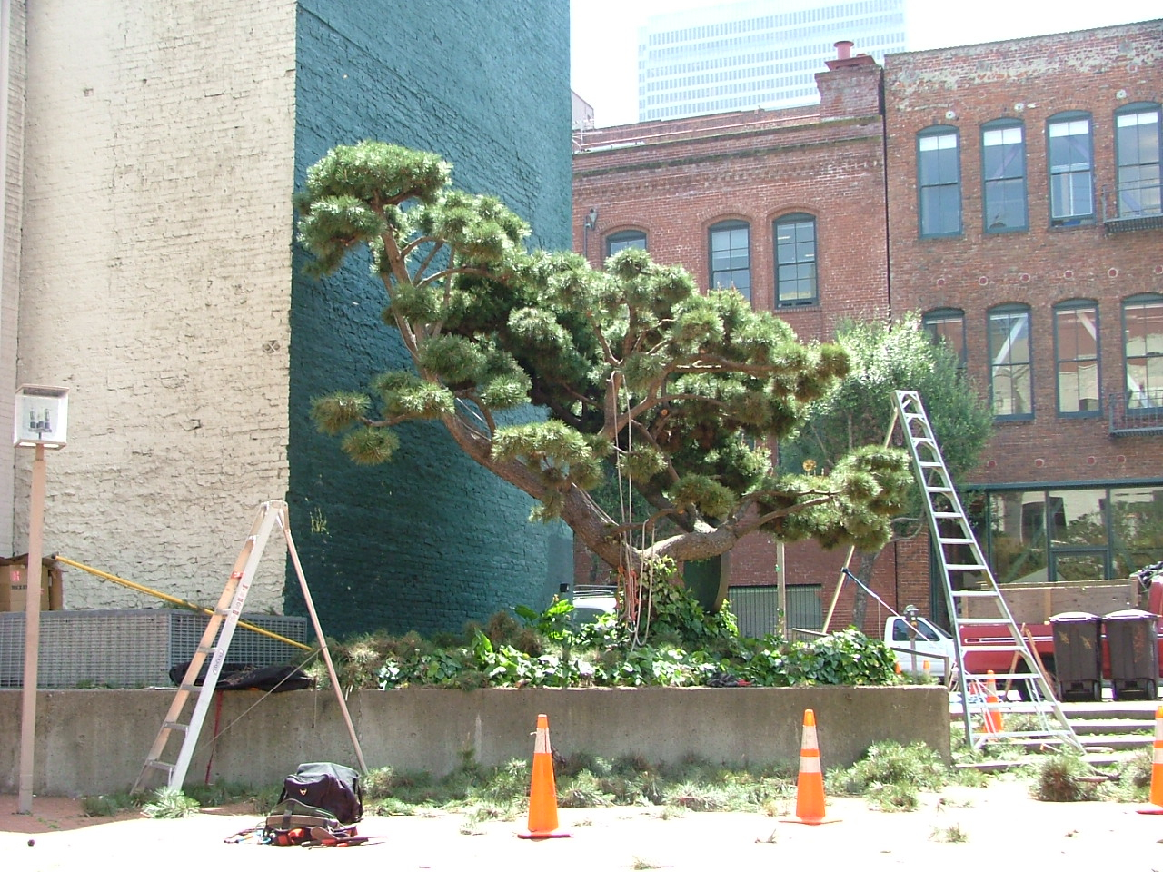 2007-4-26-046.jpg