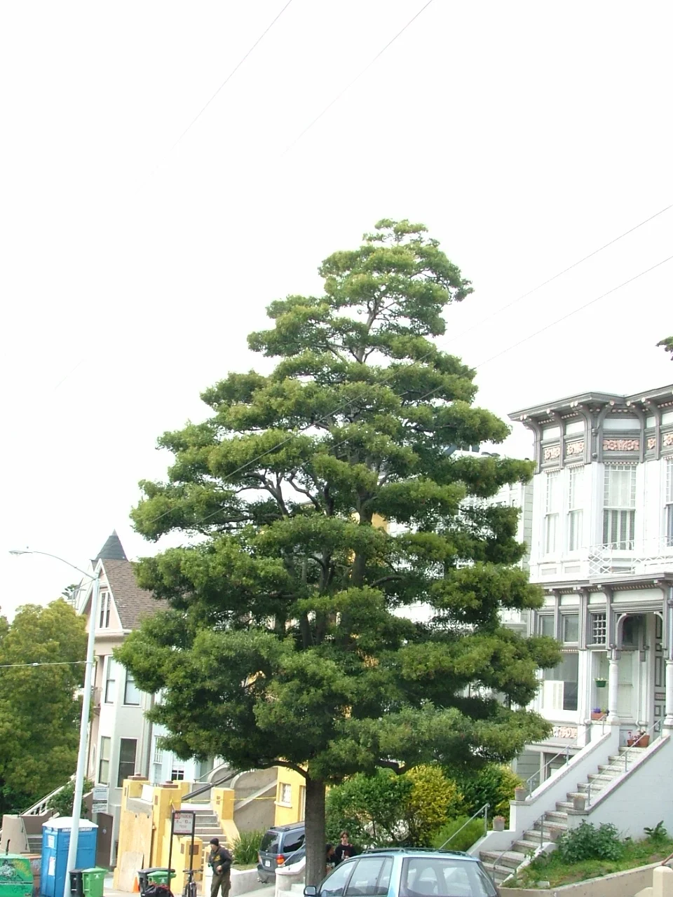 2007-5-29-12.jpg