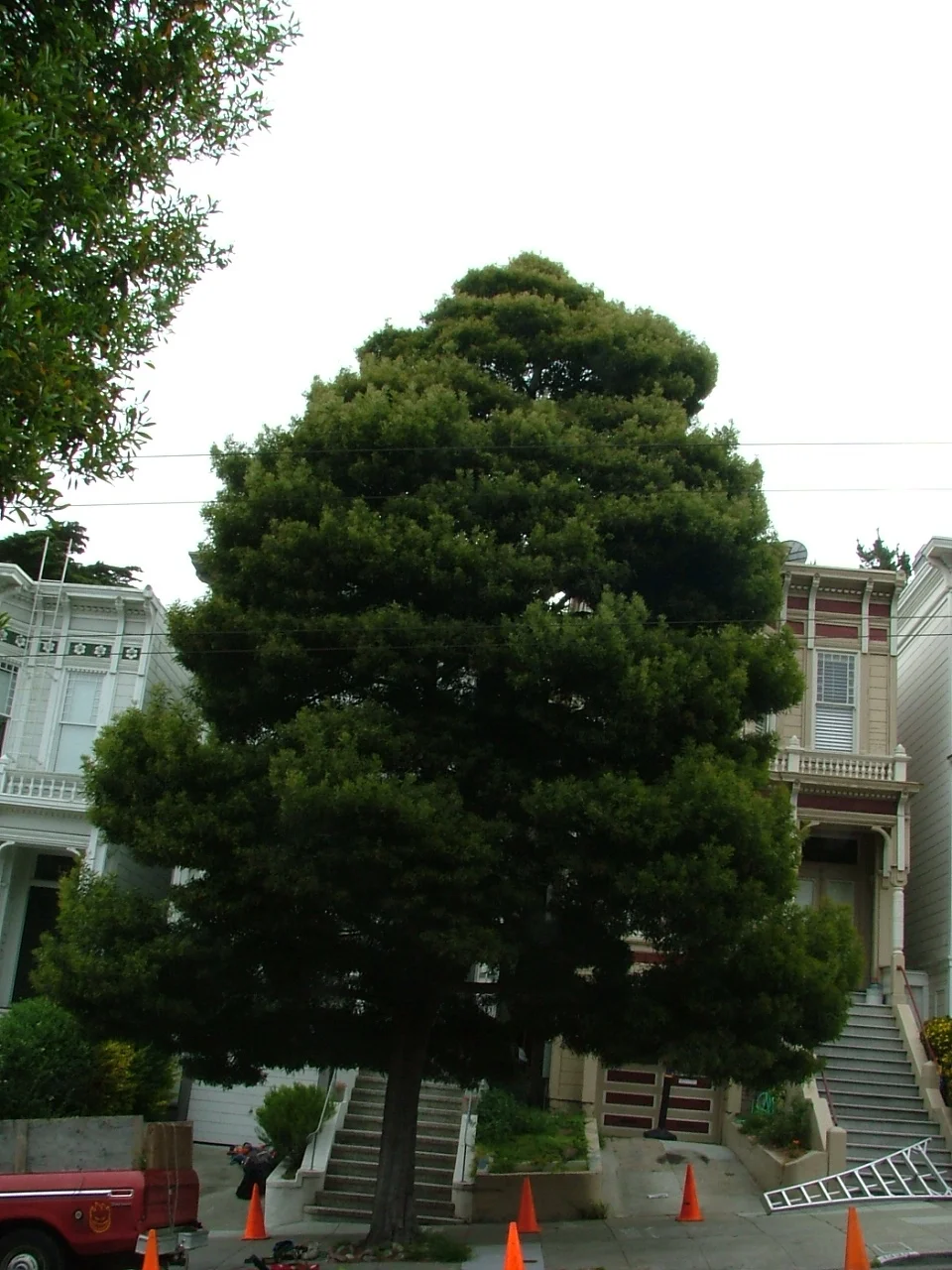 2007-5-28-5.jpg