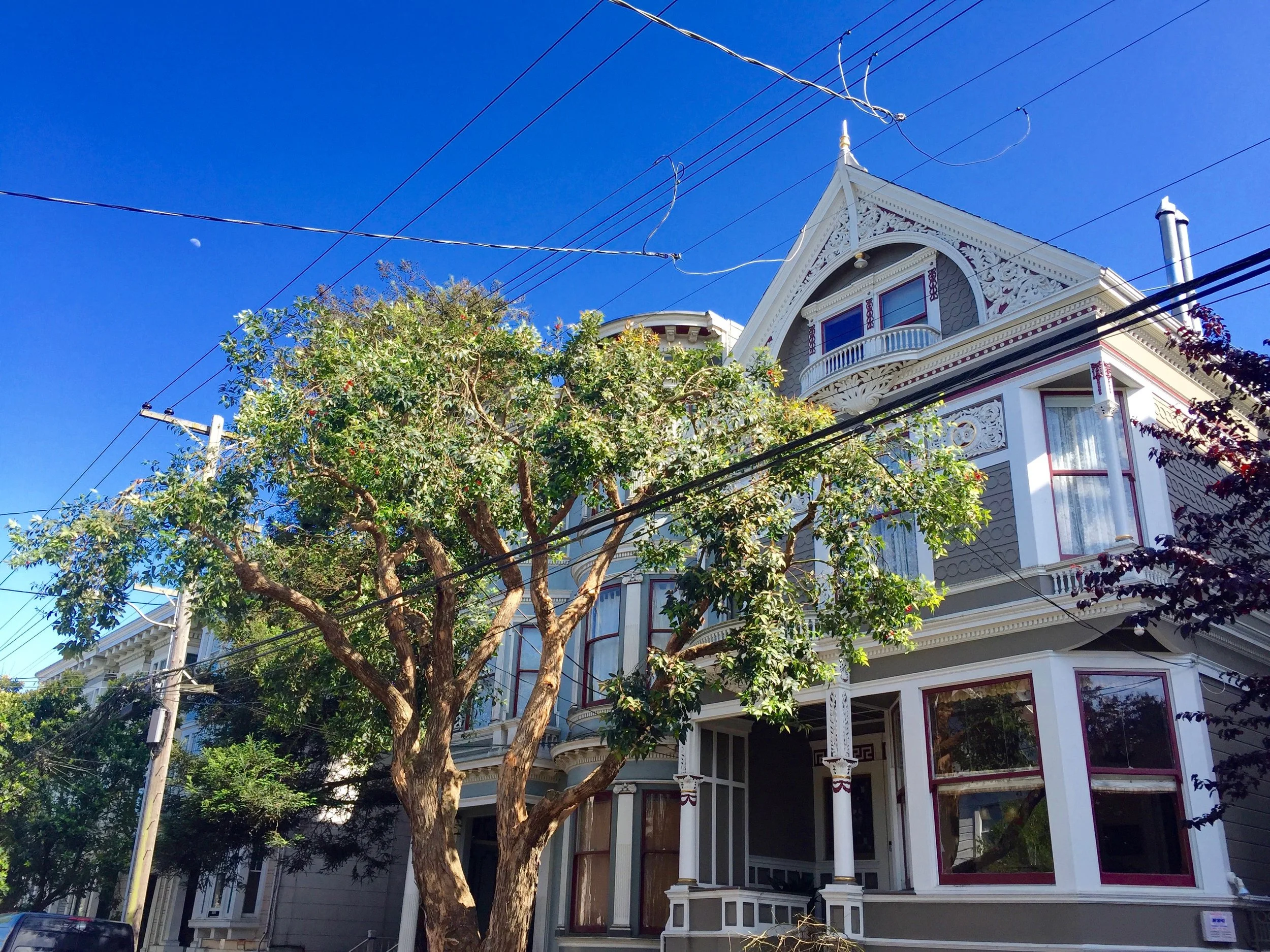 A Victorian style house with intricate white trim, large windows, and a prominent porch, partially obscured by a large leafy tree, under a bright blue sky with the moon visible.