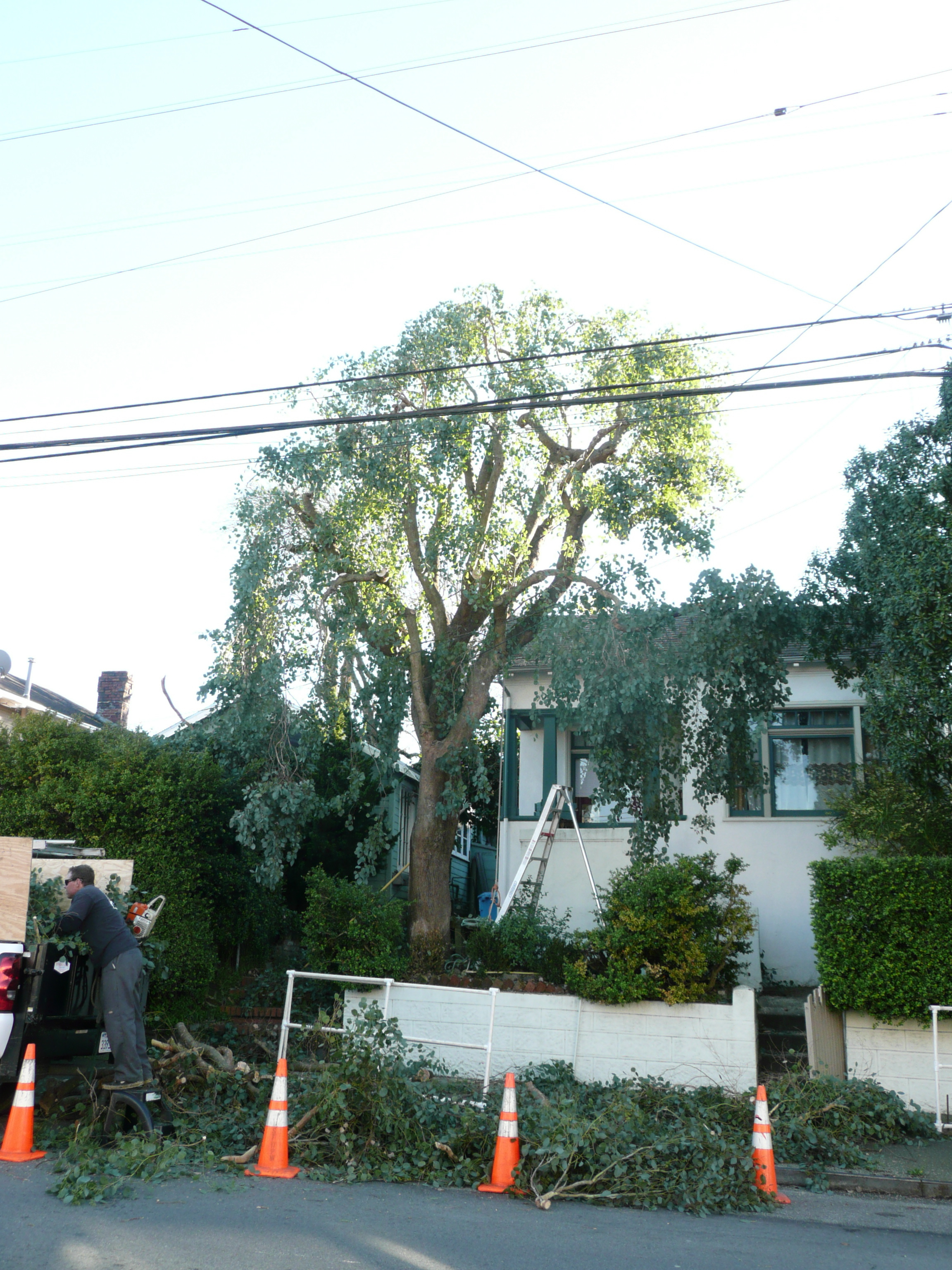 2011-1-516.jpg