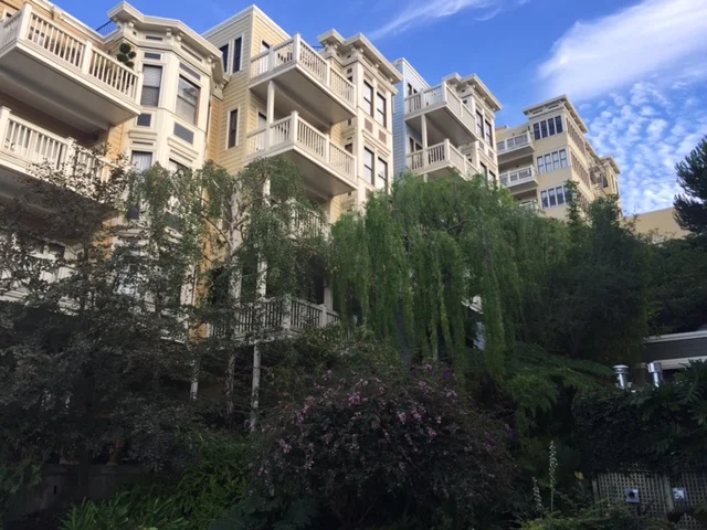 Multi-story apartment building with white balconies and large windows, surrounded by lush green trees and plants, under a blue sky with some clouds.