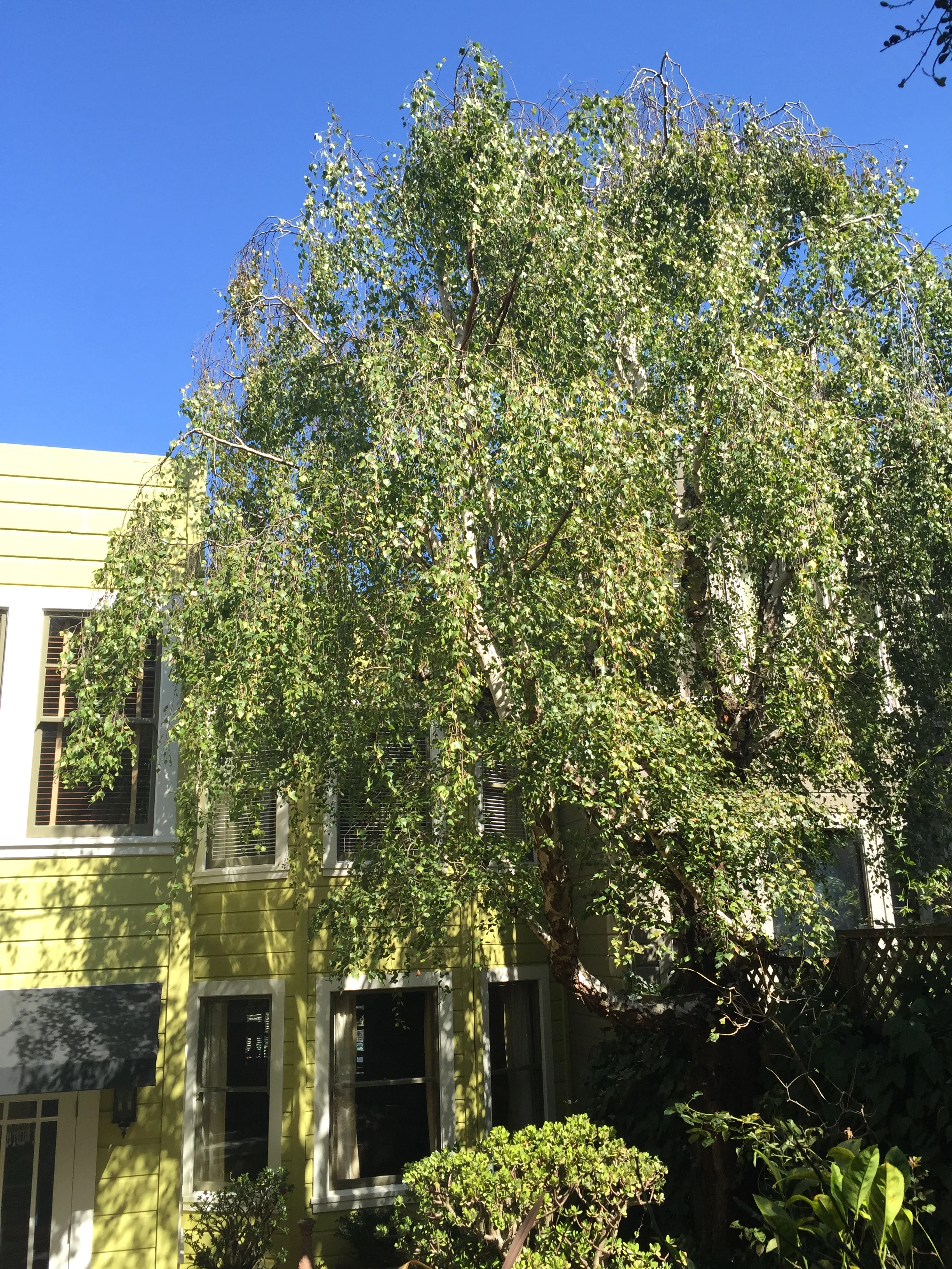 2015-09-03 15.29.10.jpg