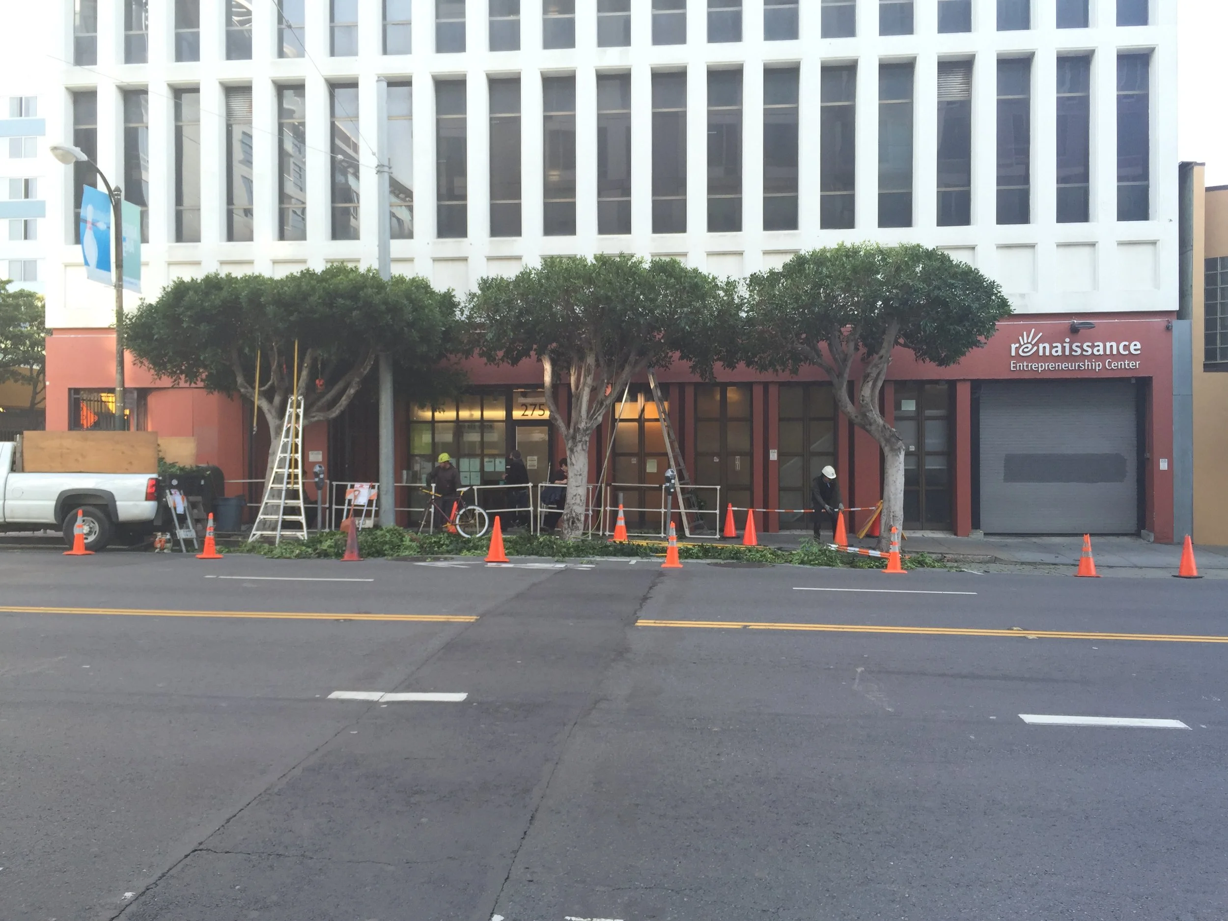 Tree workers working on sidewalk in front of an office building with trees, orange cones, and barriers.