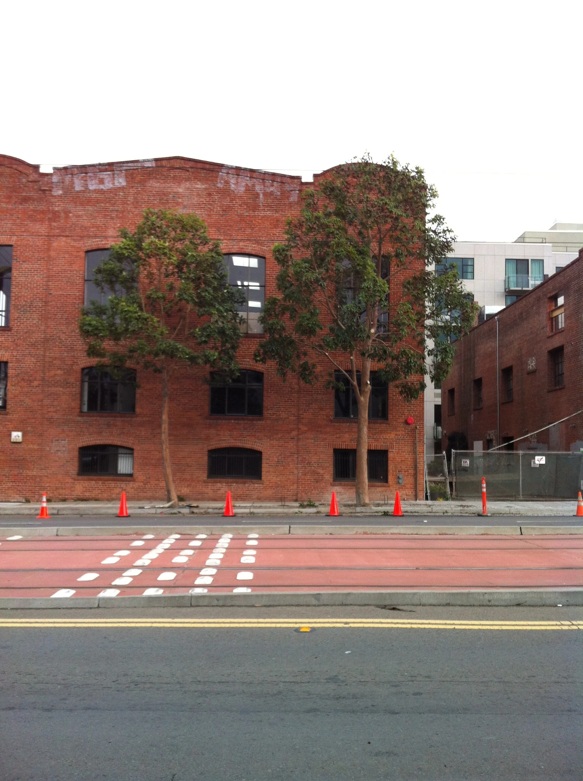 Two trees and a brick building with black window frames, in an urban setting, with orange traffic cones and painted street lines in the foreground.