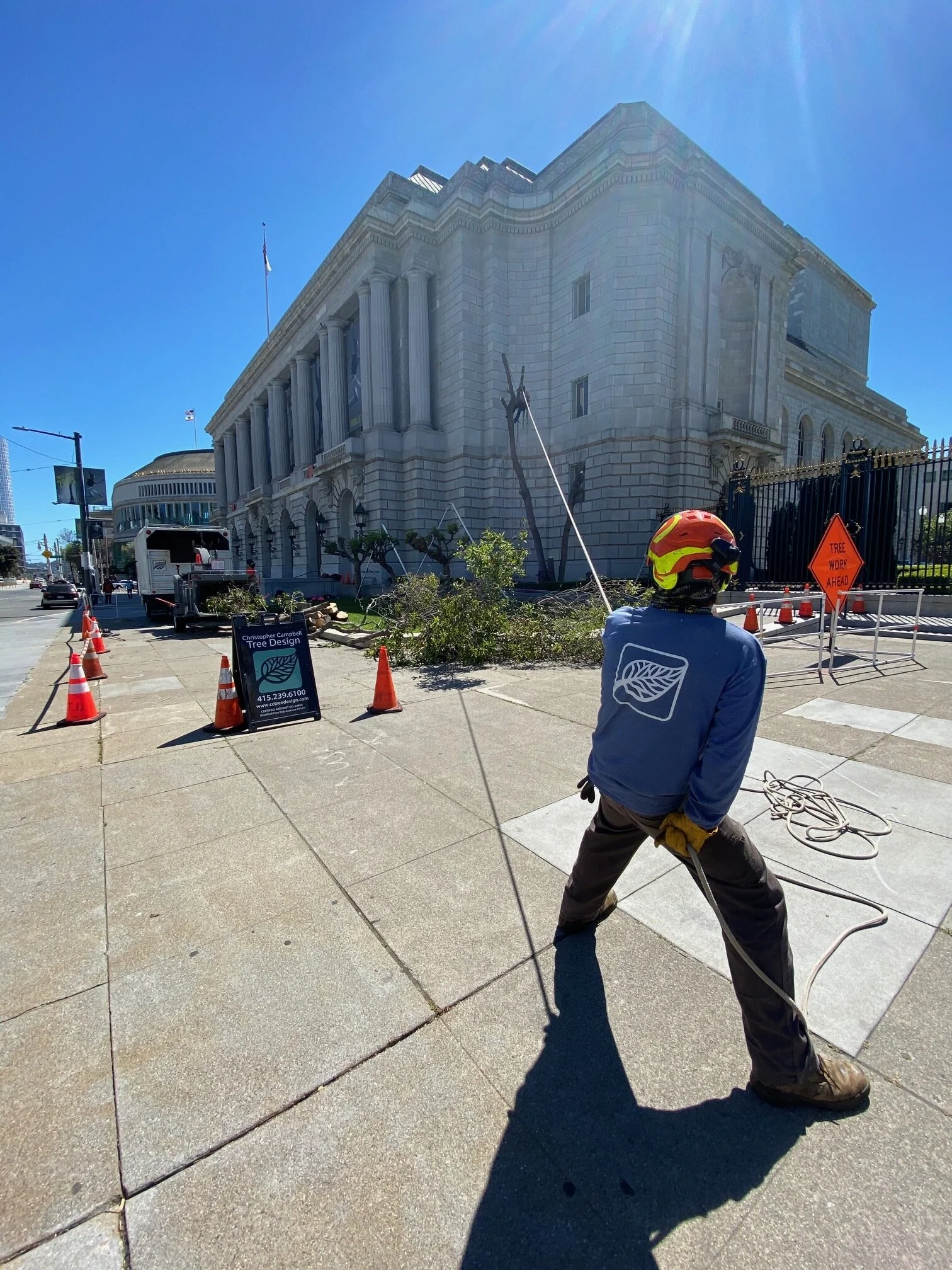 Worker in a blue jacket and yellow gloves cutting or trimming a tree, with a helmet on, on a city sidewalk in front of a large historic building with columns, and a sign that says 'Tree Work Ahead'.