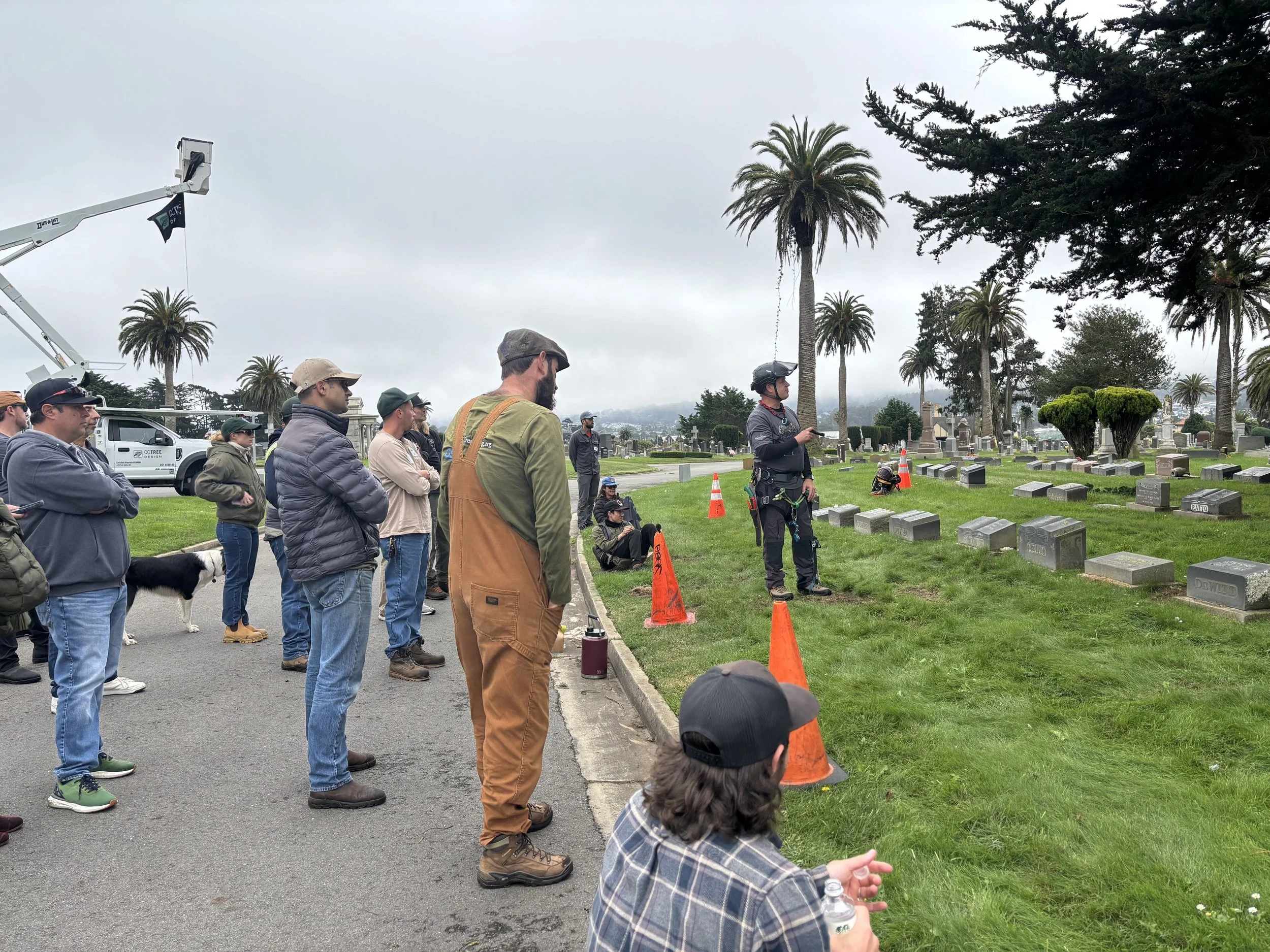 People gathered at a cemetery listening to a speaker. Some are standing, while others sit on the grass. There are orange traffic cones and a person with a helmet and safety gear. Palm trees and overcast sky are in the background.