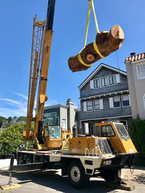 A crane lifting a large log with yellow straps in a residential neighborhood.