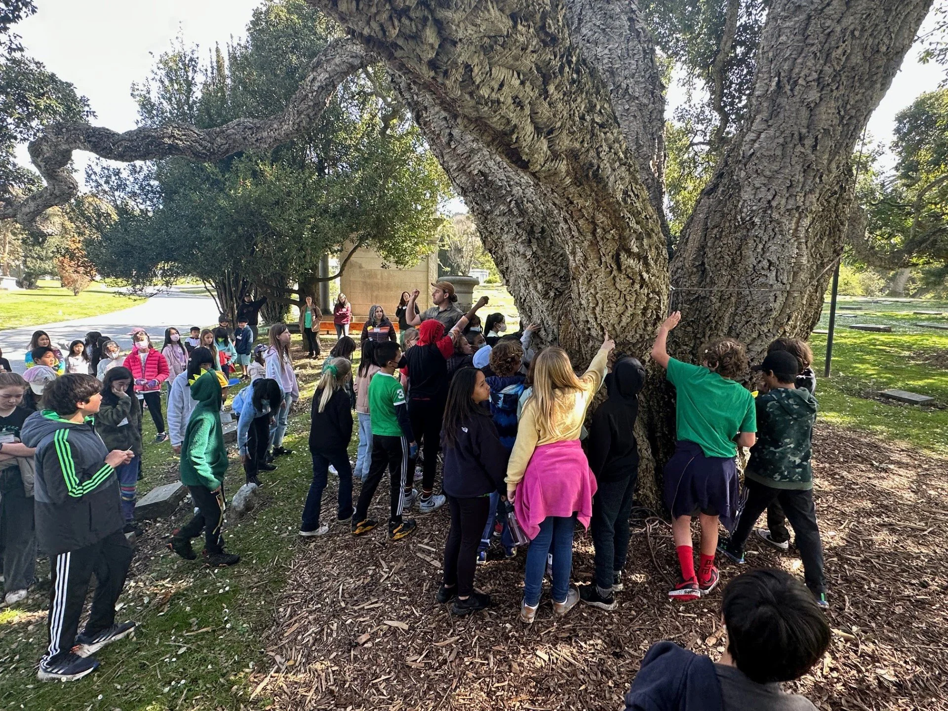 Group of children and adults gathered around a large tree in a park, participating in an outdoor activity.
