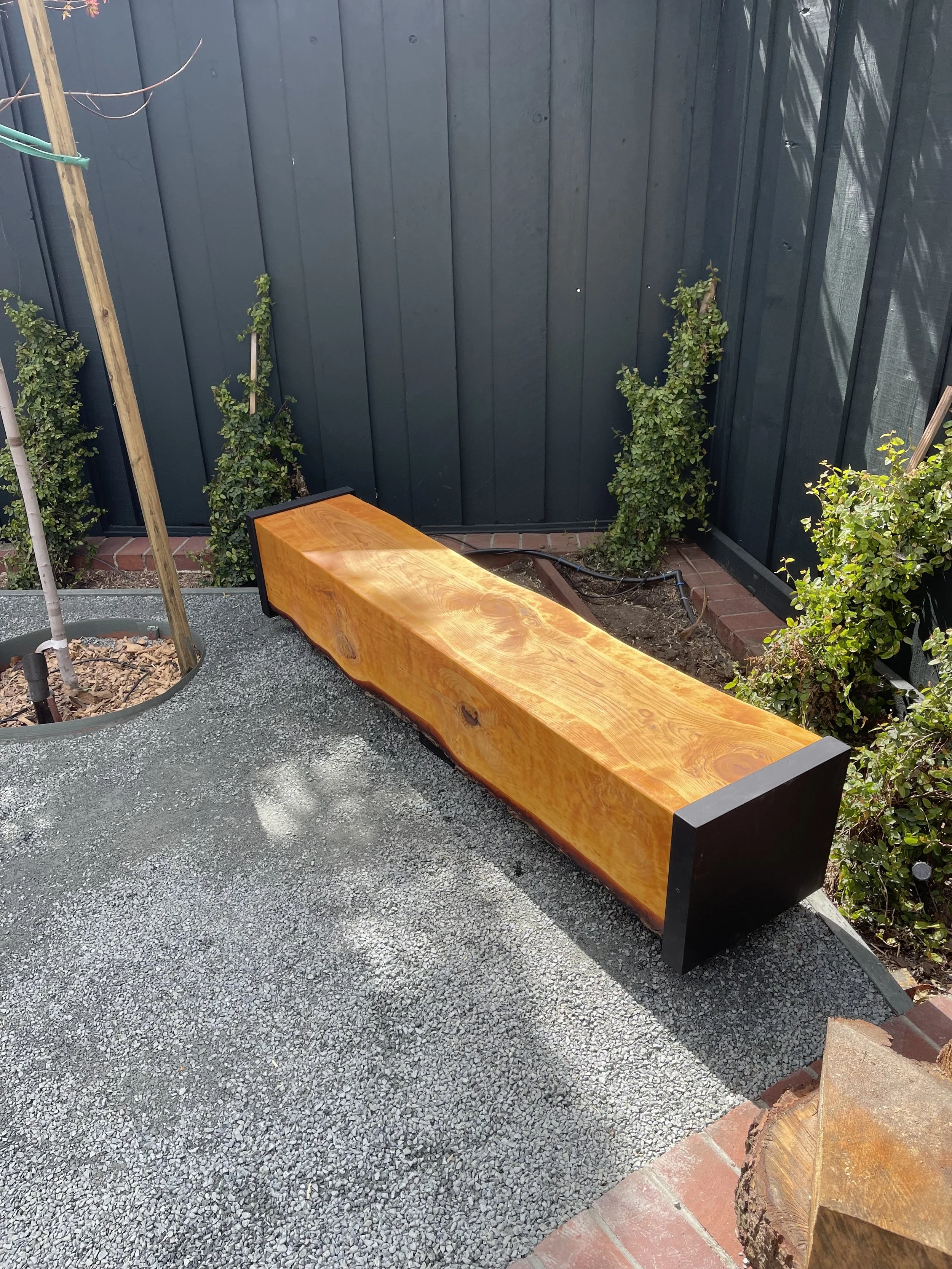 A polished wooden bench with black ends on a gravel outdoor patio, bordered by plants and a dark blue fence.