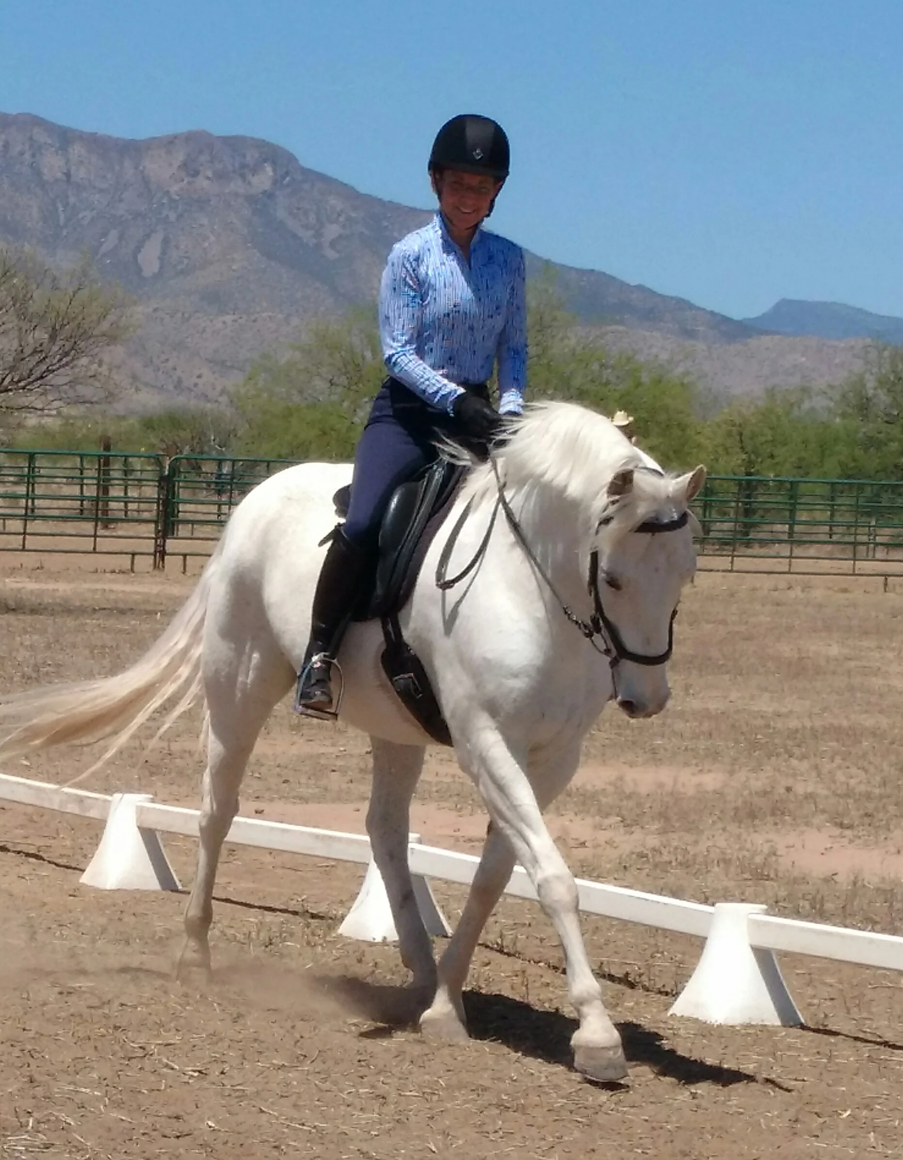 Dressage, Combined Tests and Obstacle Course Schooling