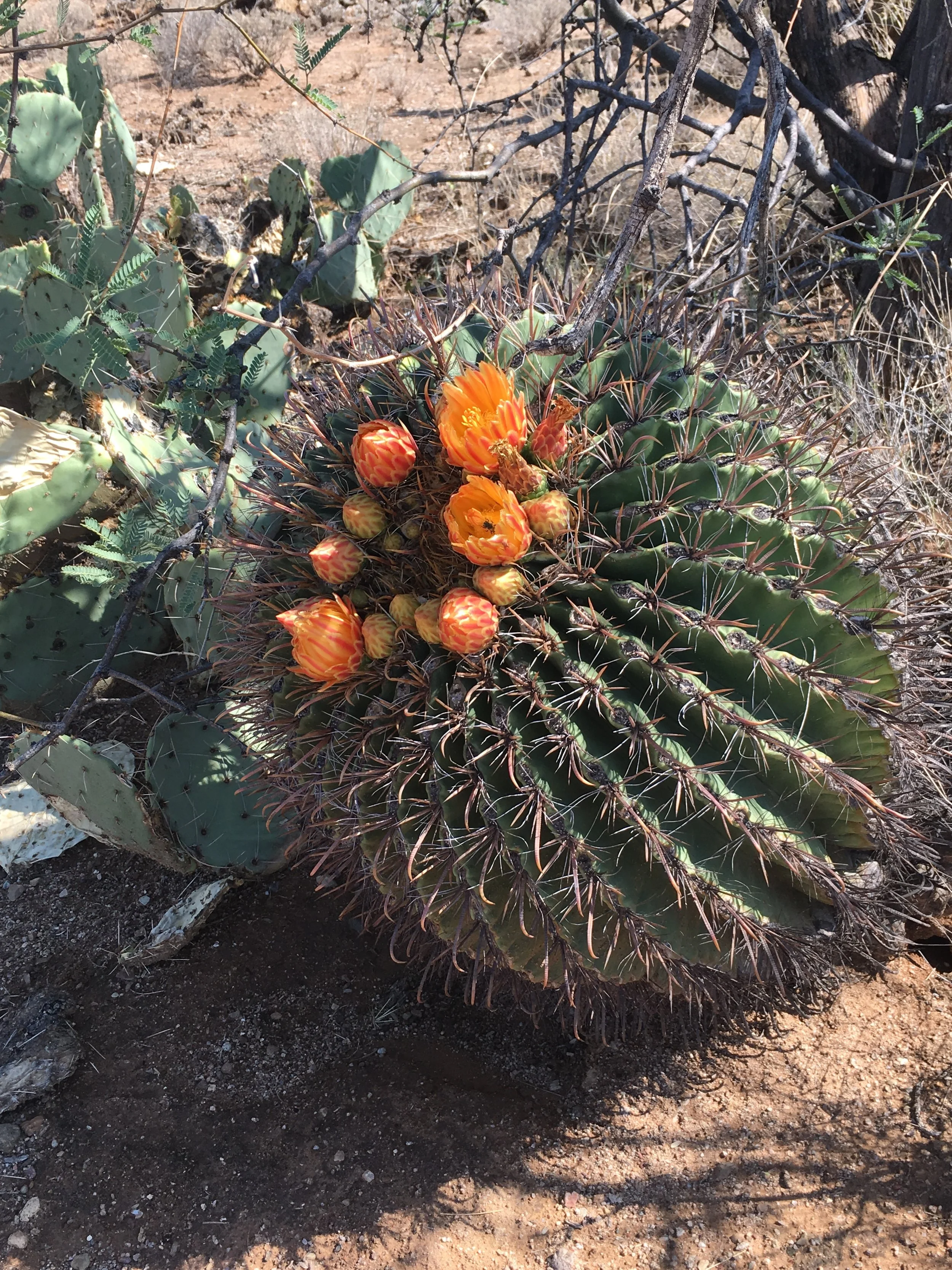 Cross-Country Work Day