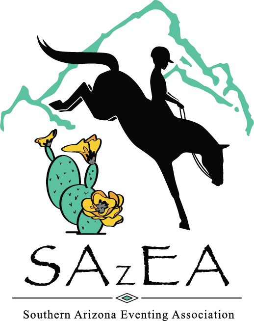 SAzEA Logo Color_No Border.png