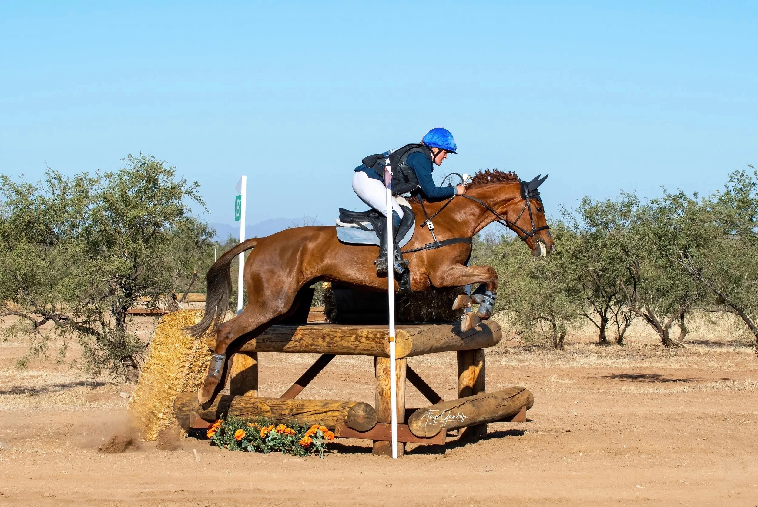 USEA Southern Arizona Eventing Association Spring 2027 HT
