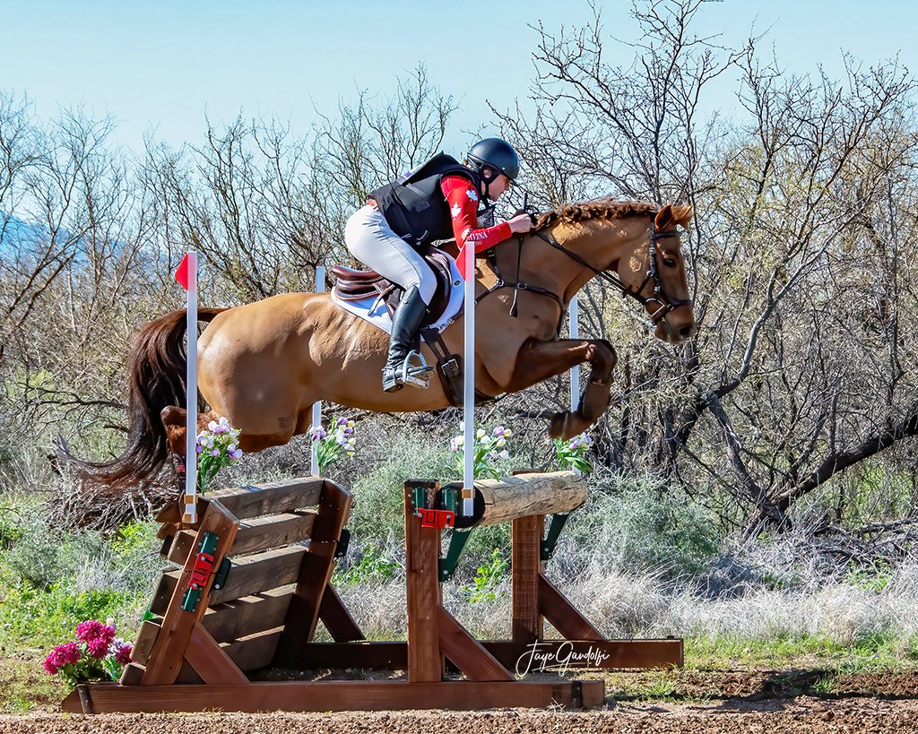 XC 5 DSC_6568 SM.jpg