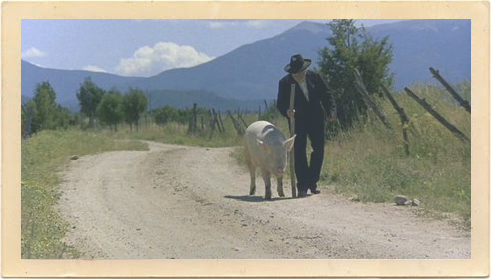 This pig was one of my favorite parts of the book. 