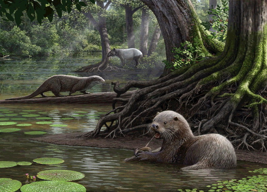 Do you have any fantastical animals you would want as pets? Let me know in the comments. 