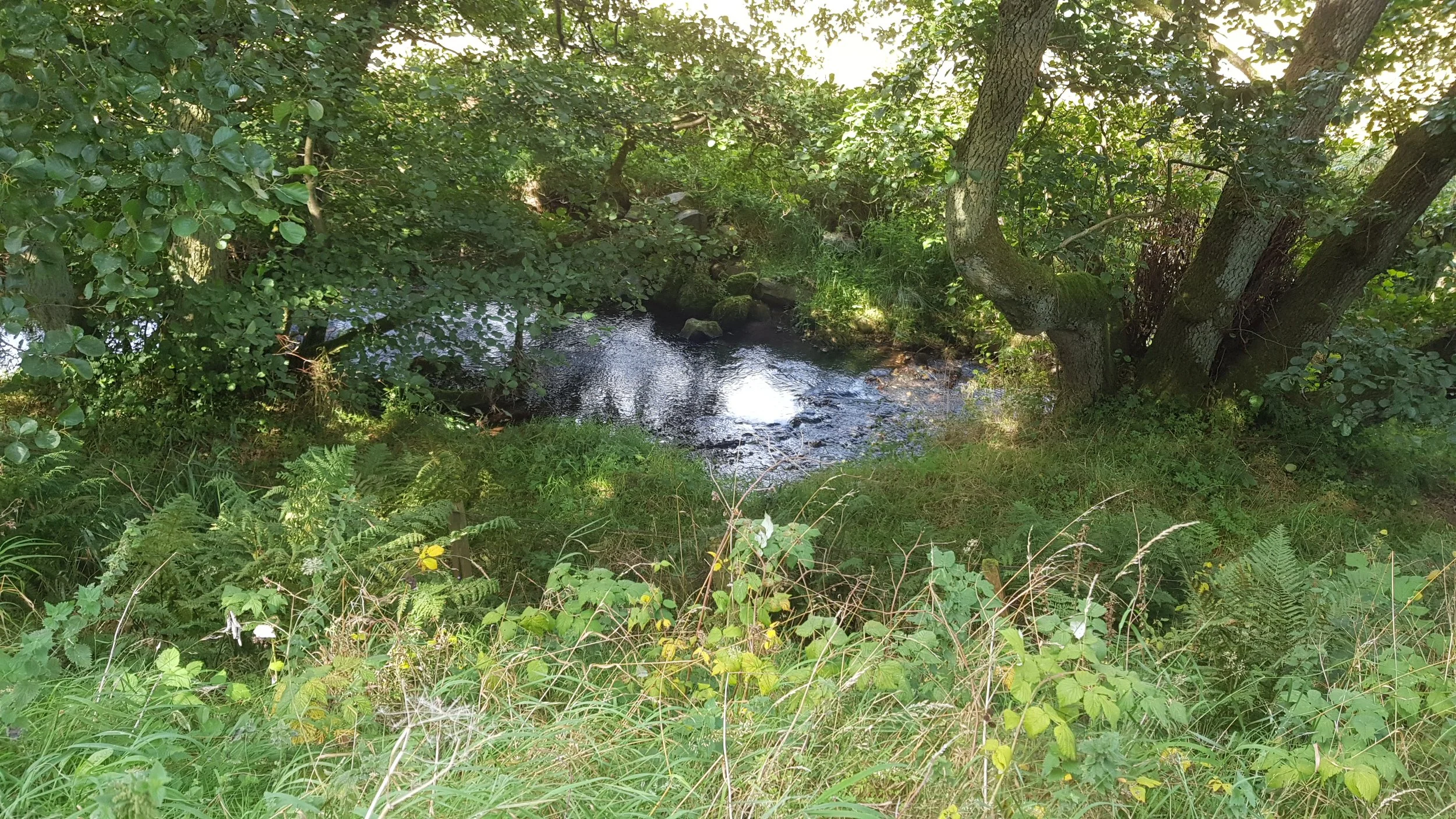 Gateside Weir - Impact of Removal