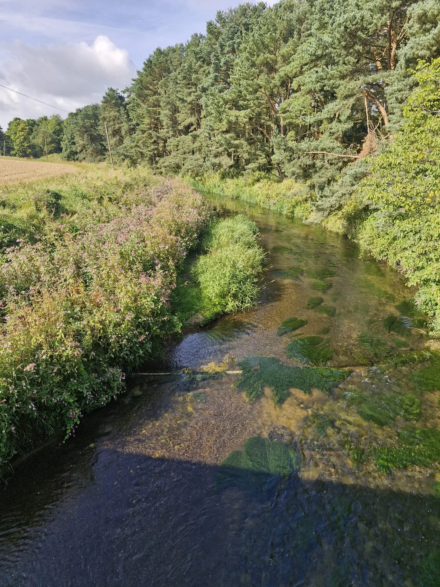 Winter Newsletter January 2026