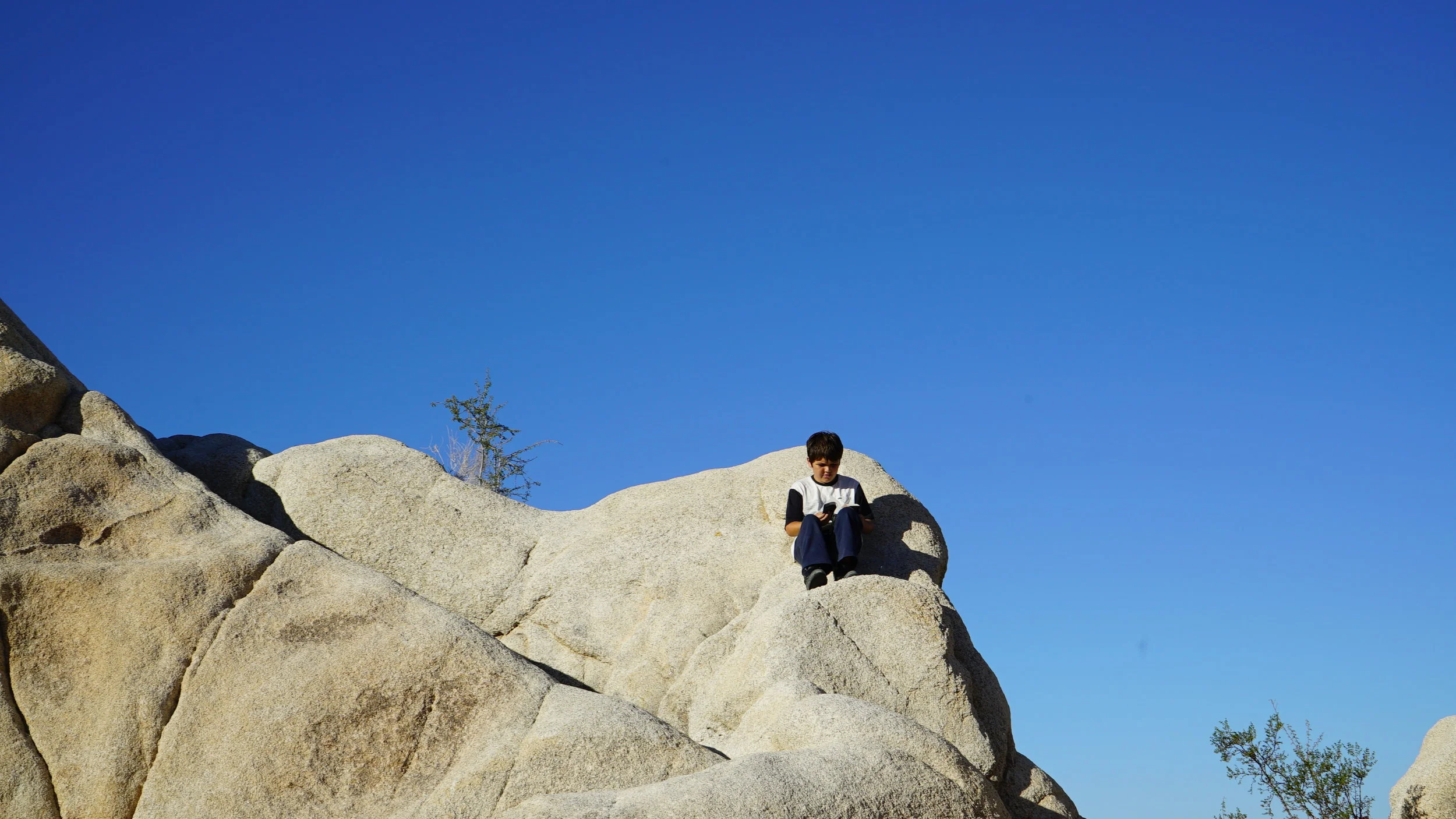 Harbor reading rock joshua tree.JPG