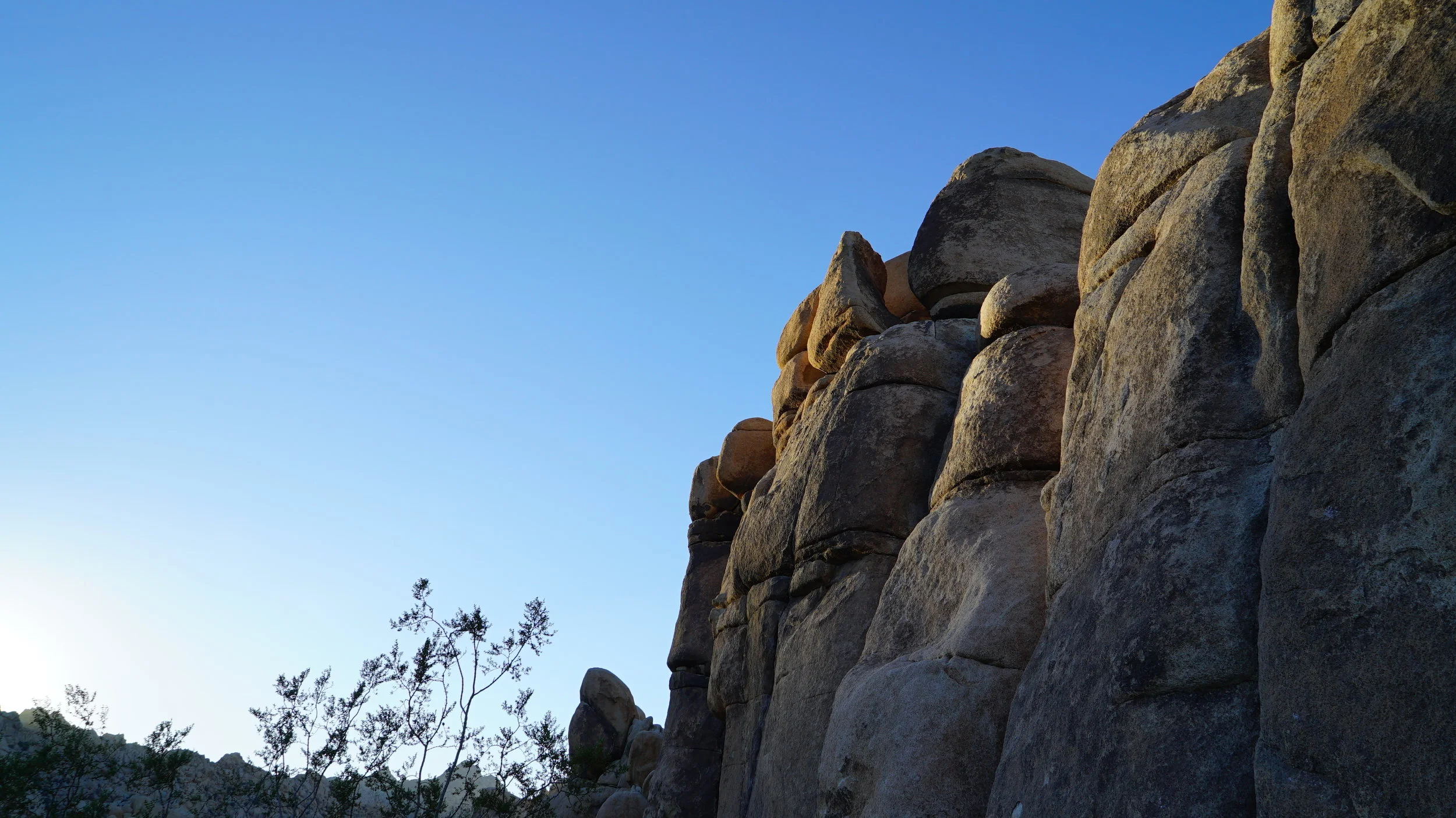 joshua tree rocky again.JPG