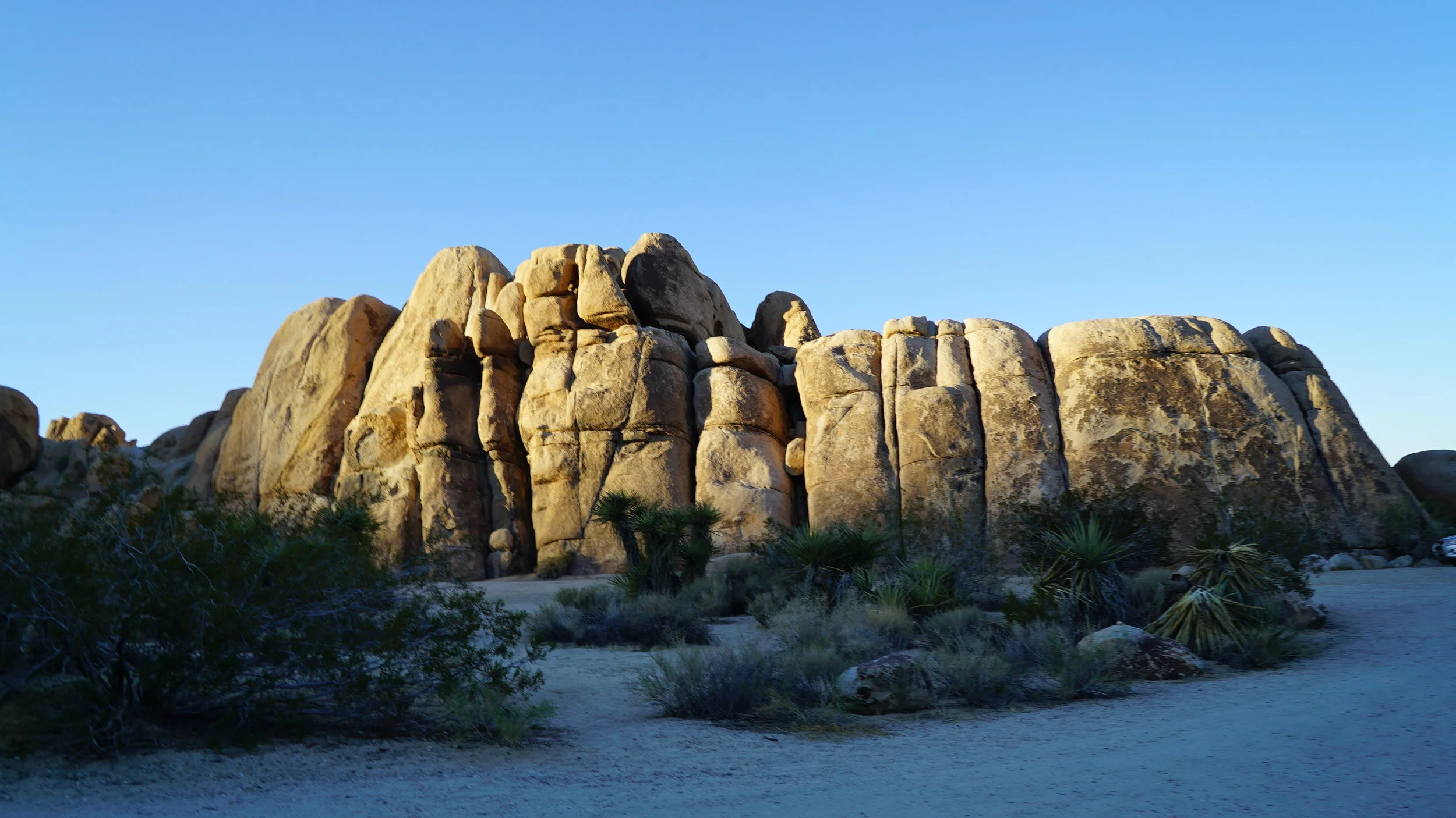 joshua tree rocky.JPG