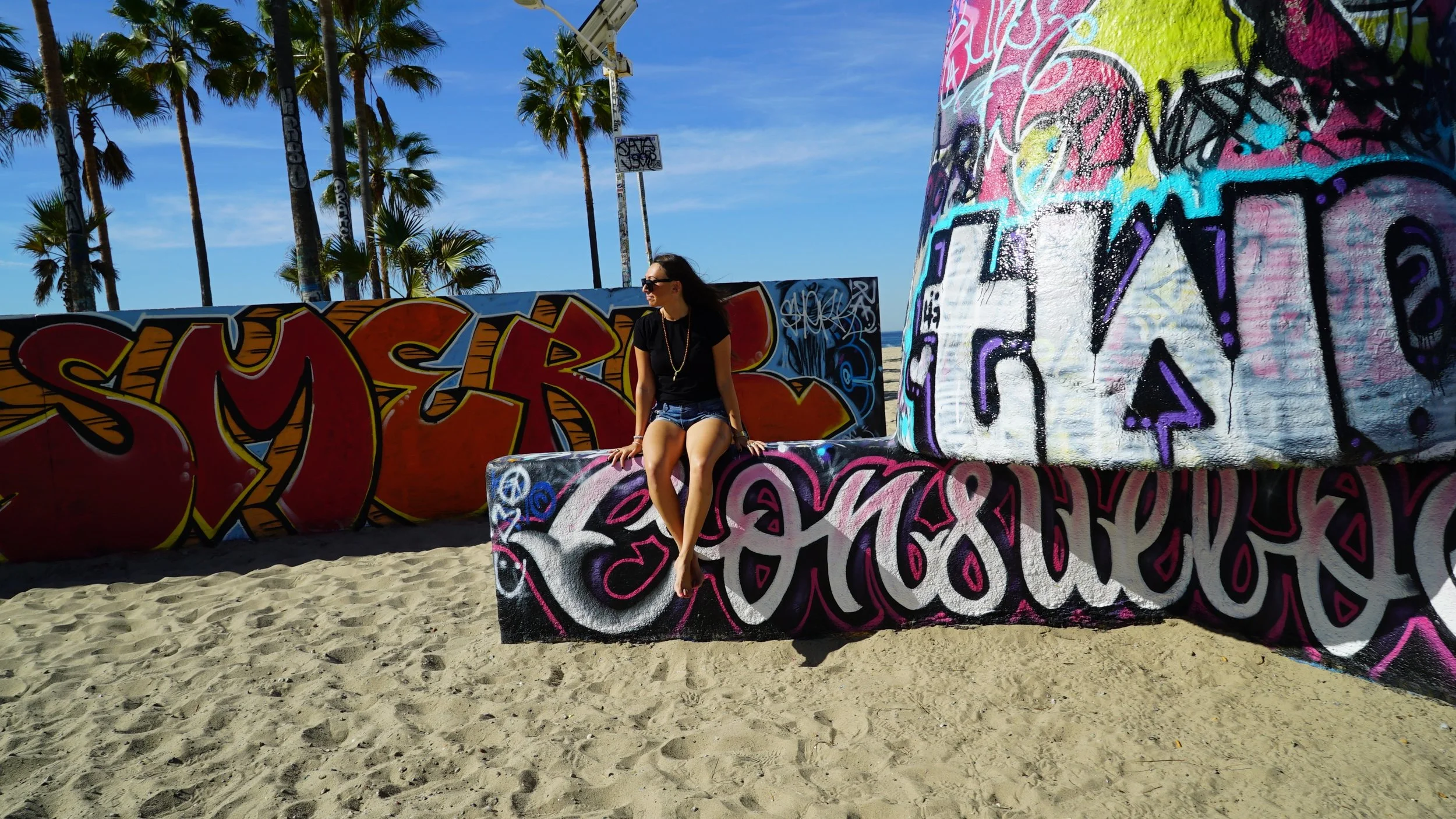 lisel graffiti venice.JPG.jpeg