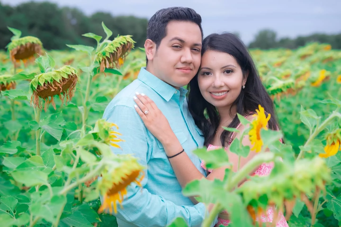 Do you Remember the time 🎵
.
.
.
.
#sonycamera #shoot #photoshoot #sony #sonyalpha #dog #sonya7ii #a77ii #alpha7ii #sony50mmf18 #summertime #lovers #outdoors #sunflowers🌻 #sunflowerfield #cute #couple