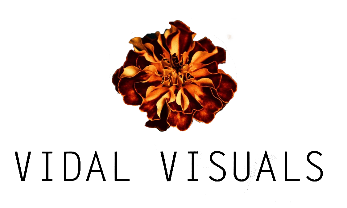 Vidal Visuals