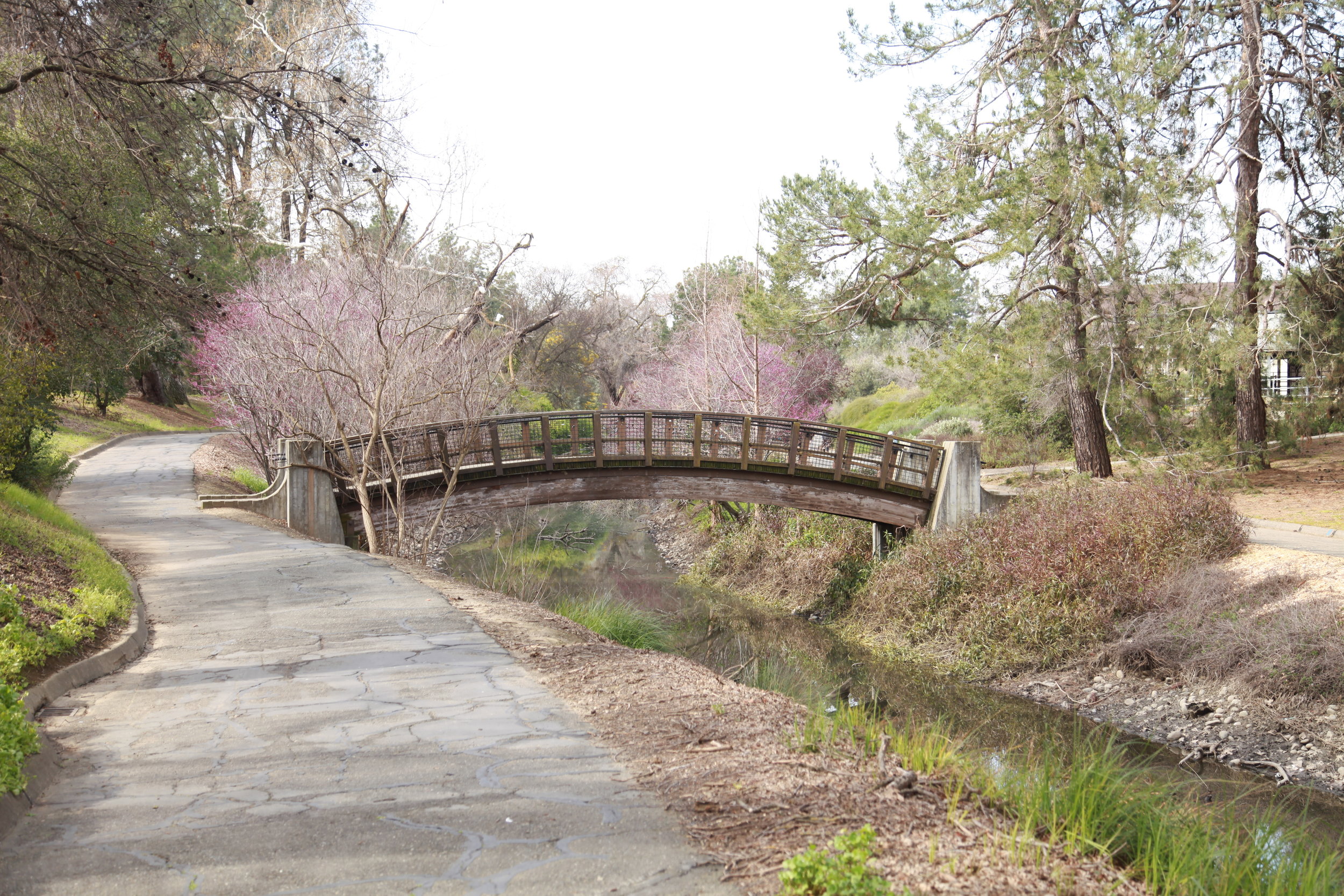 UC Davis Arboretum