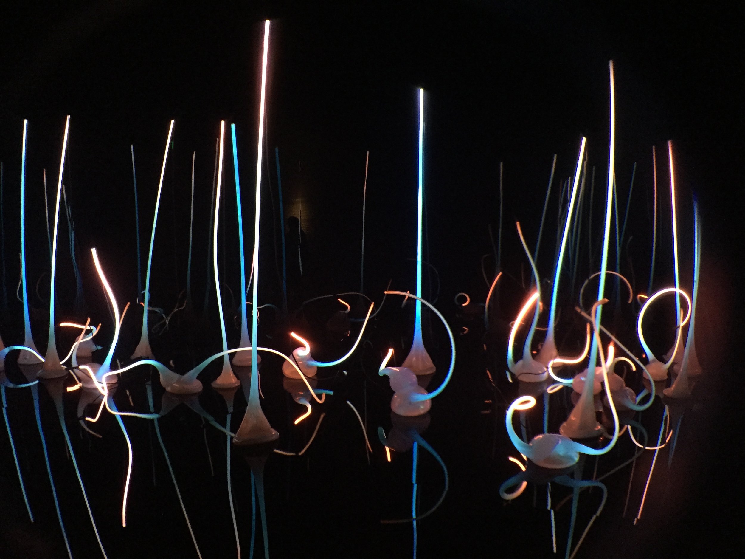 "Chihuly Garden and Glass Museum" - I call this one, interesting glass.