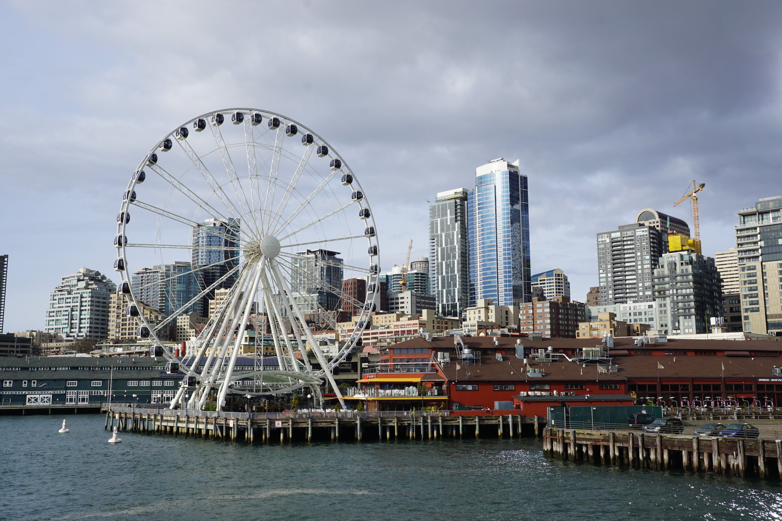 "Ferris Wheel" Photo taken by Calvin Harjono -The Argosys Cruise is an hour long guided boat tour of Seattle. It goes around the entire perimeter of the pier with a narration of historical and significant points of Seattle. This is super awesome for those who want to learn about the history of Seattle while getting a full view of the beautiful city!