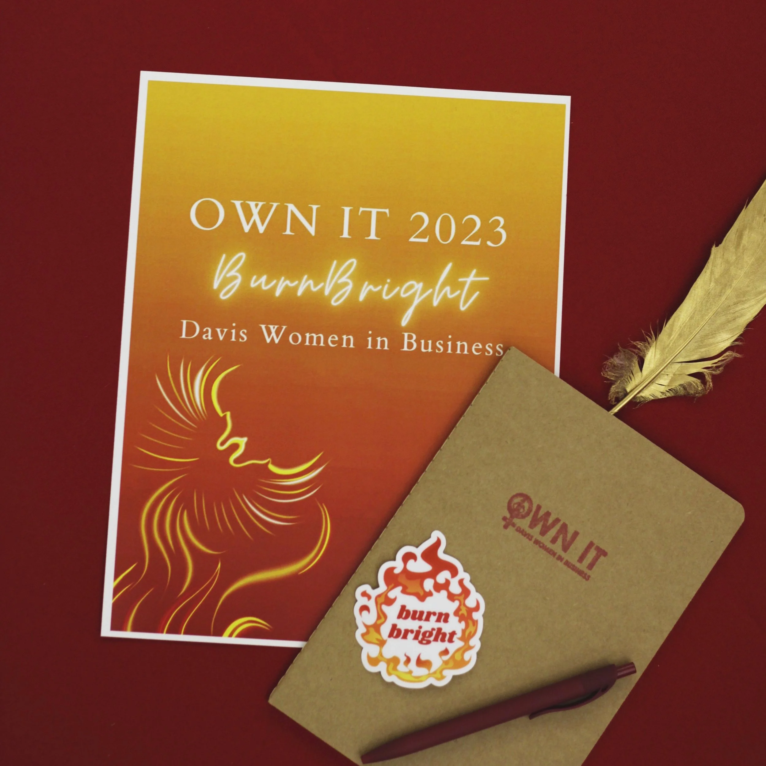 Burning Bright with OWN IT 2023
