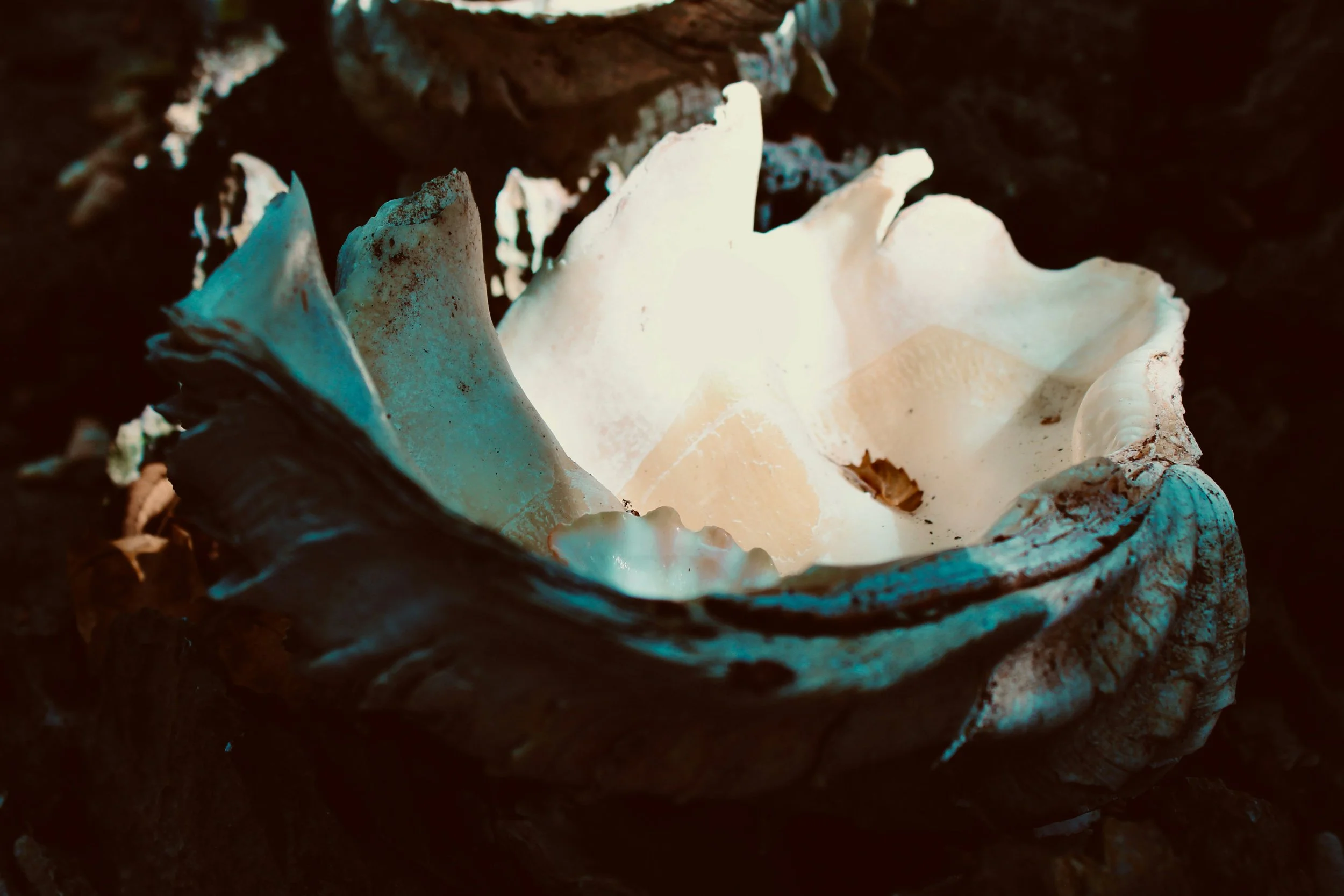 jean-beller-8xRSoZkZ9Bw-unsplash.JPEG