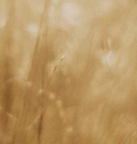 Screen Shot 2019-04-10 at 3.13.35 PM.png