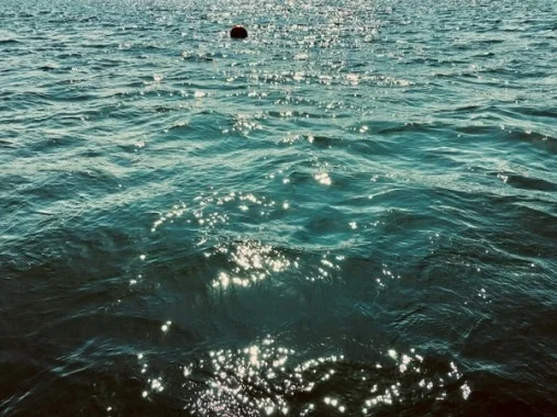 tumblr_po3cgprTEN1sbnez5_540.jpg