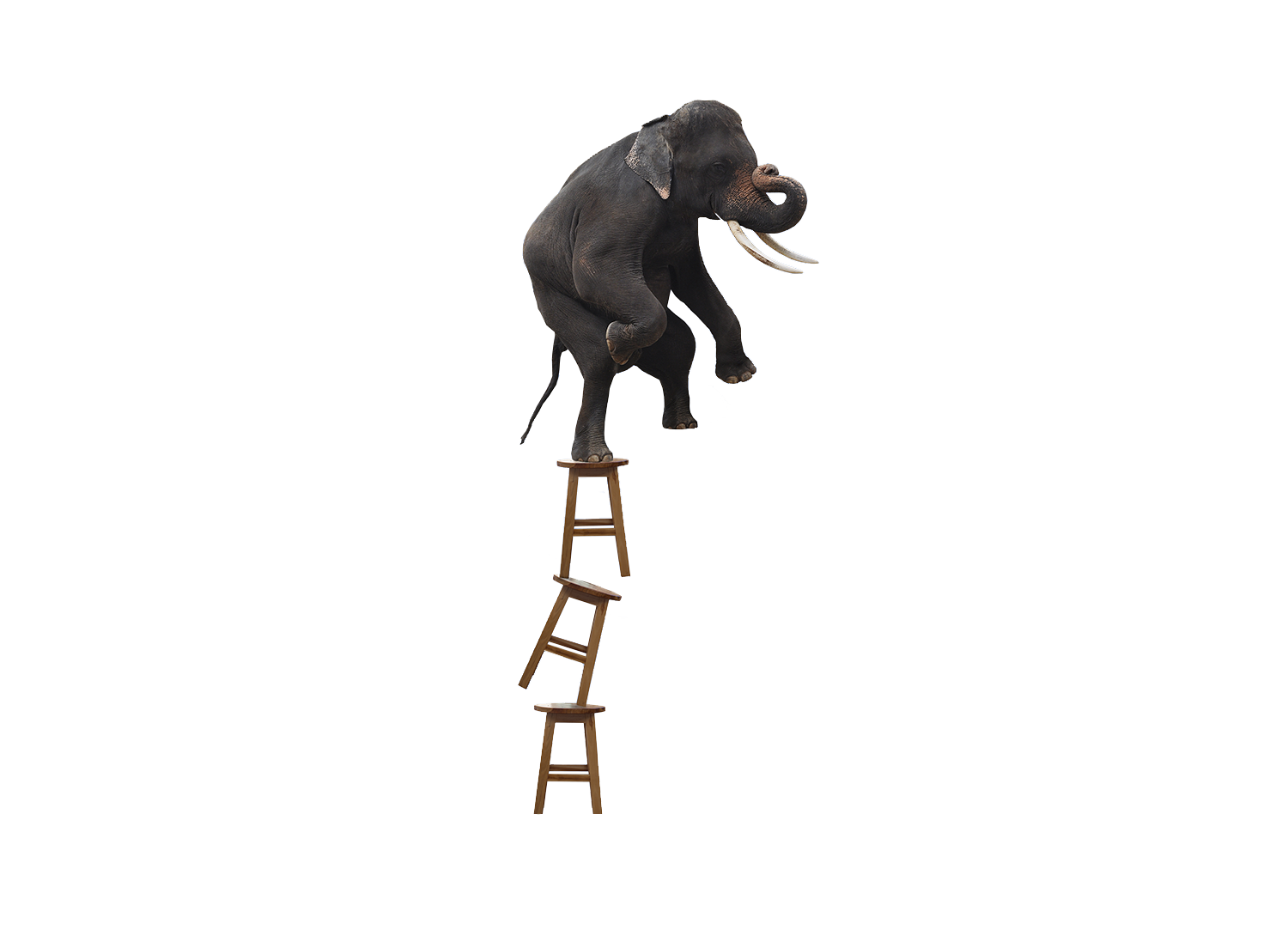 ele.png