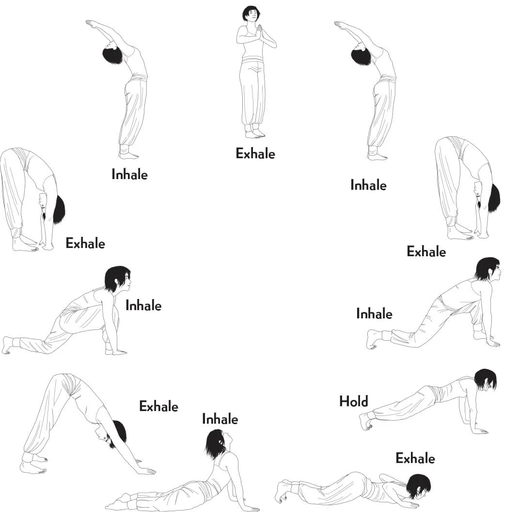 Sun Salutation poses / sequence