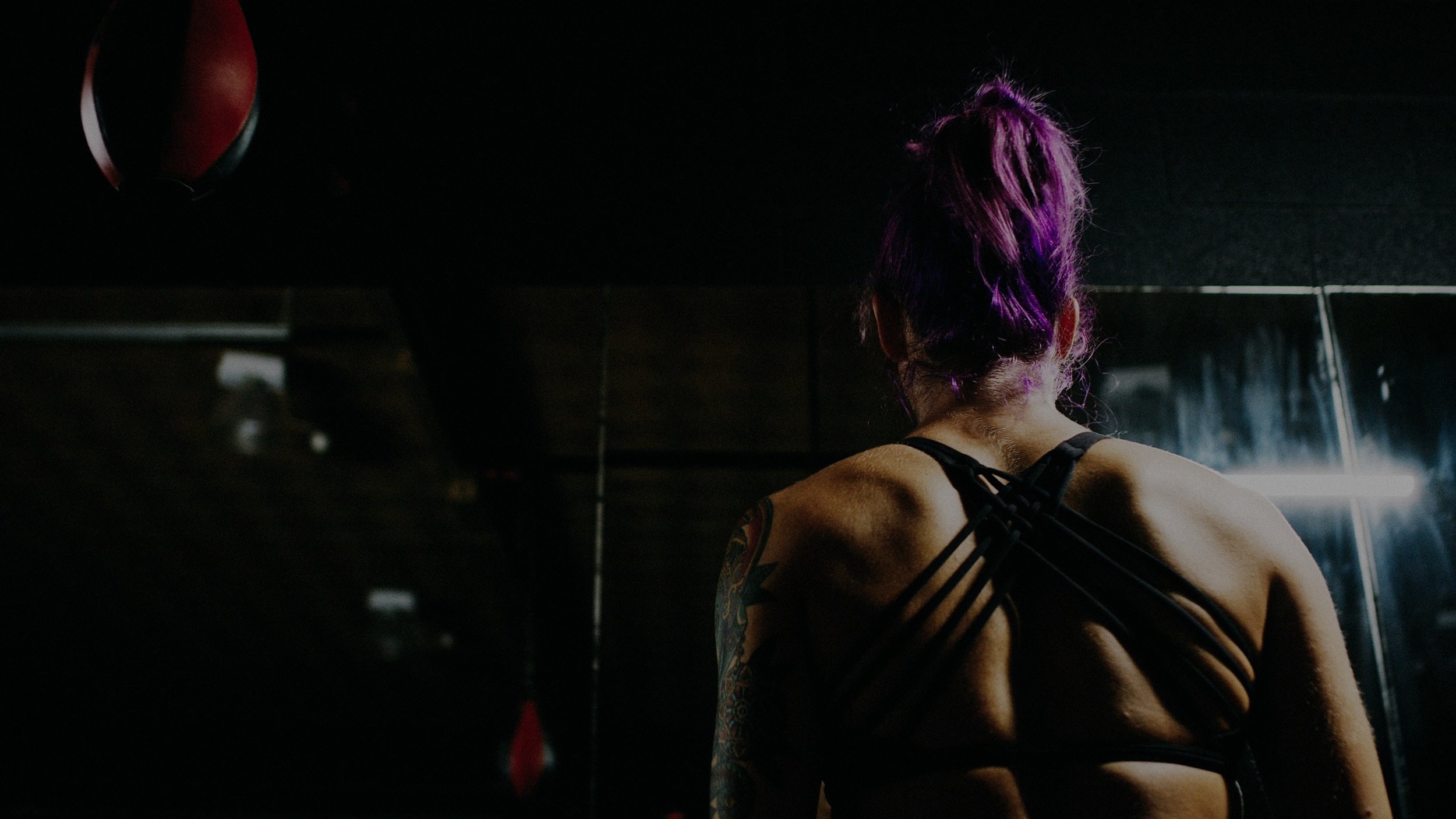 boxer-standing-min.jpg