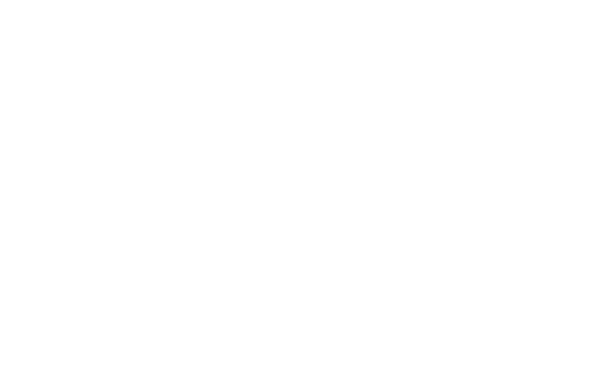 ramo-overlay-min.png