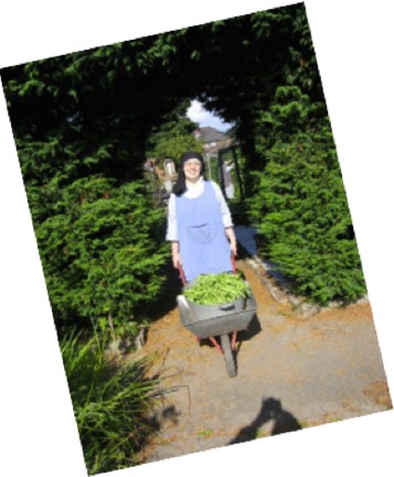 garden-photo.jpg