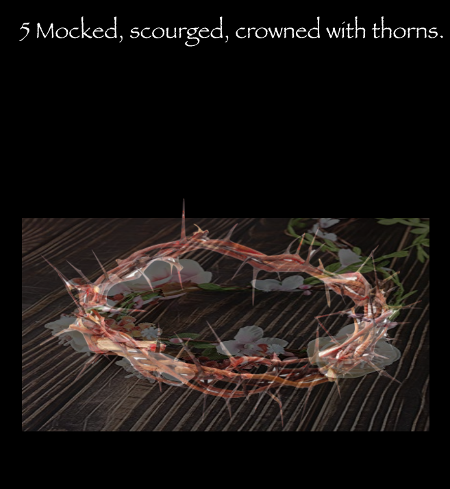 5-thorns.png