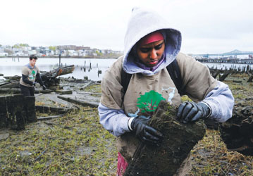 Daynaba Mohamed, 15, picks up a piece of broken wood from the shoreline of the Chelsea Creek on Marginal Street during the Chelsea GreenRoots Citywide Cleanup on April 22, Earth Day. The annual cleanup was focused on the Chelsea Creek this year, and was sponsored by the City of Chelsea and Chelsea GreenRoots.