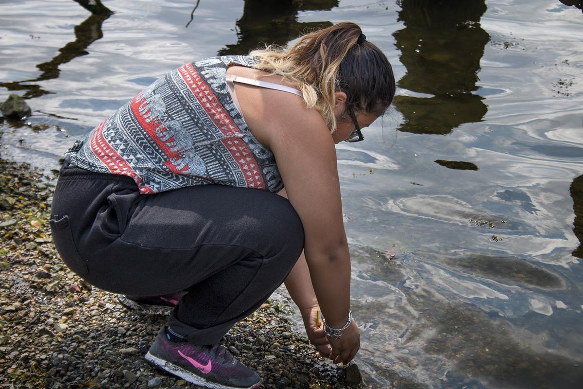 Stephanie Alvarado tests the water temperature of the Chelsea Creek as part of a Green Roots ECO Crew project. CREDIT KATHLEEN DUBOS / WBUR