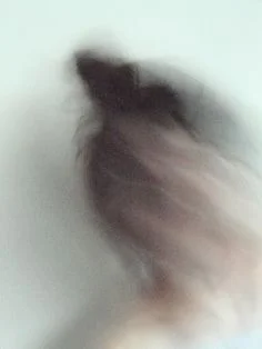 33d433a2b95fafba9f4bd837beb6005d.jpg