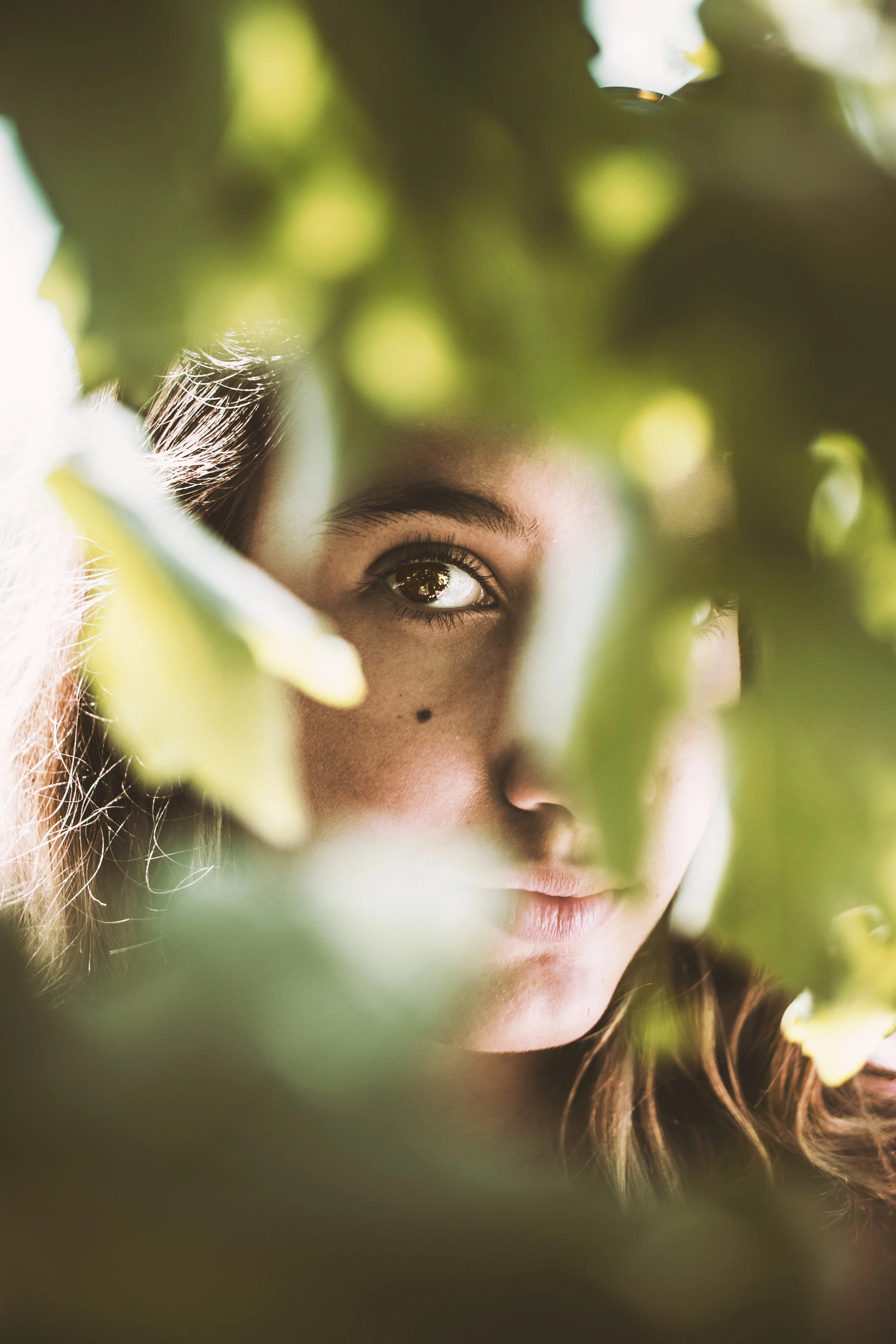 (2018-02-12 19-12-28)Canon Canon EOS 80D -3716x5573-405512328.JPEG