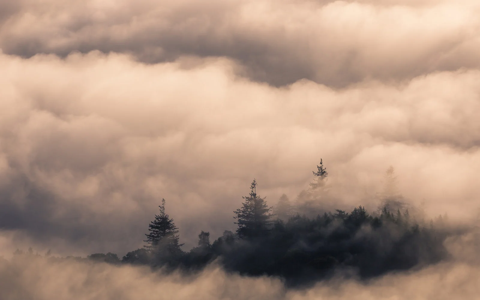 An island on Derwent Water looking sublime through the cloud