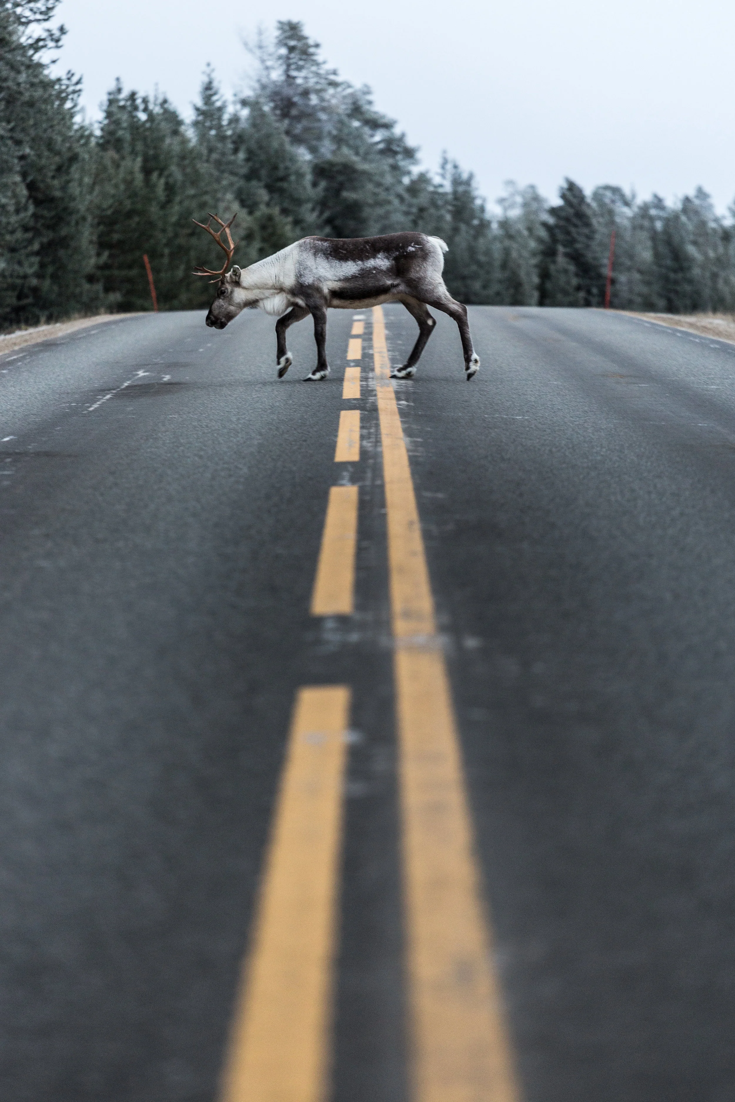 Traffic on the roads at rush hour