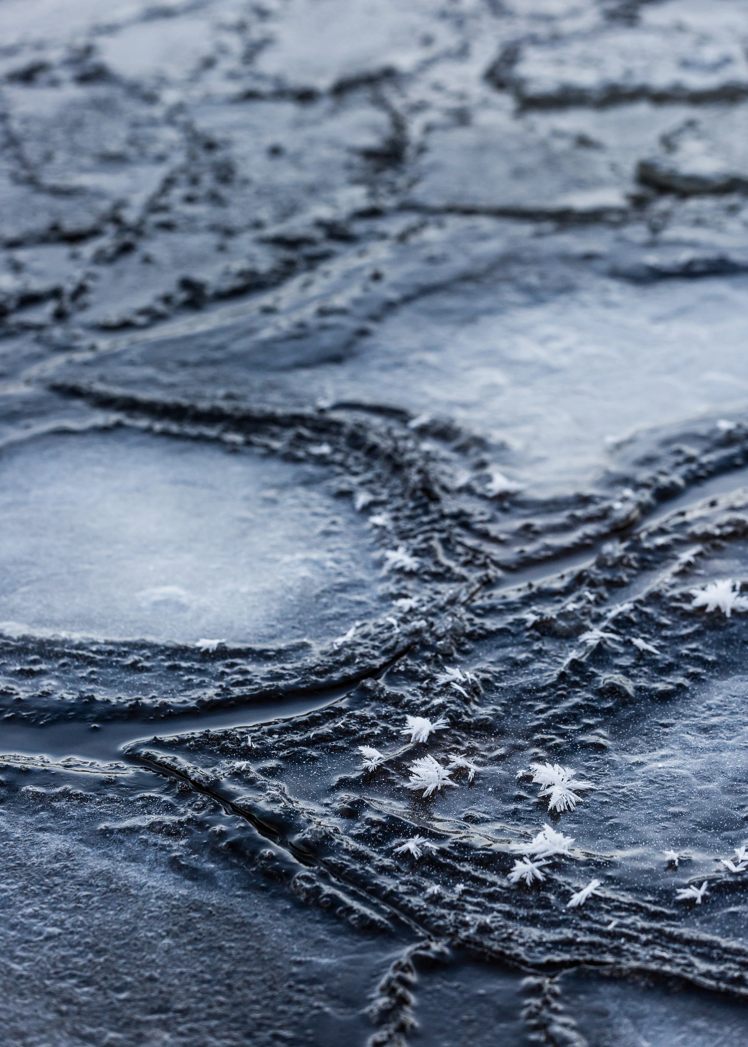 Detail of the freezing river in Inari
