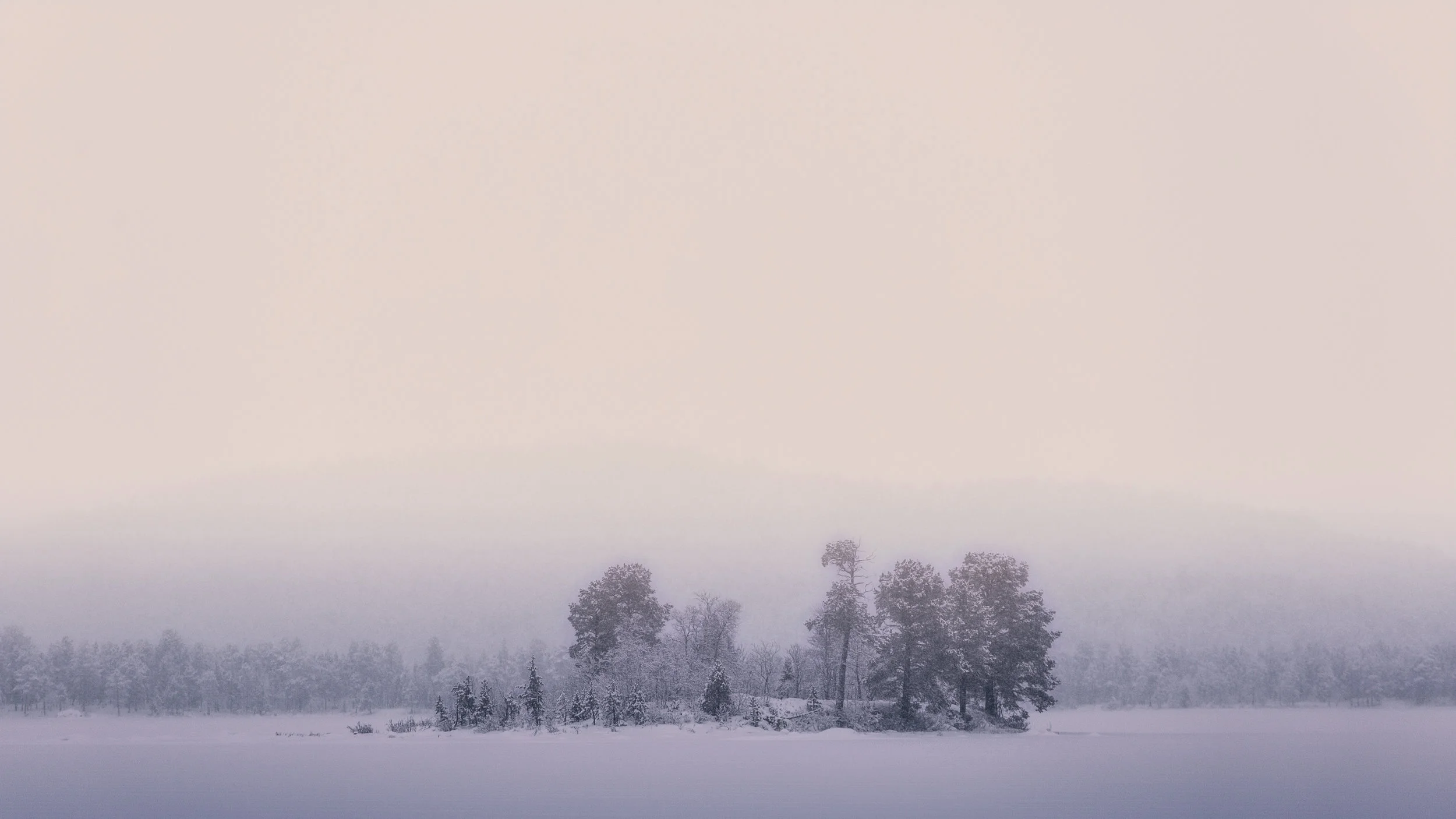 Under a veil of mist, the subtle tones of Polar night warm the landscape. 